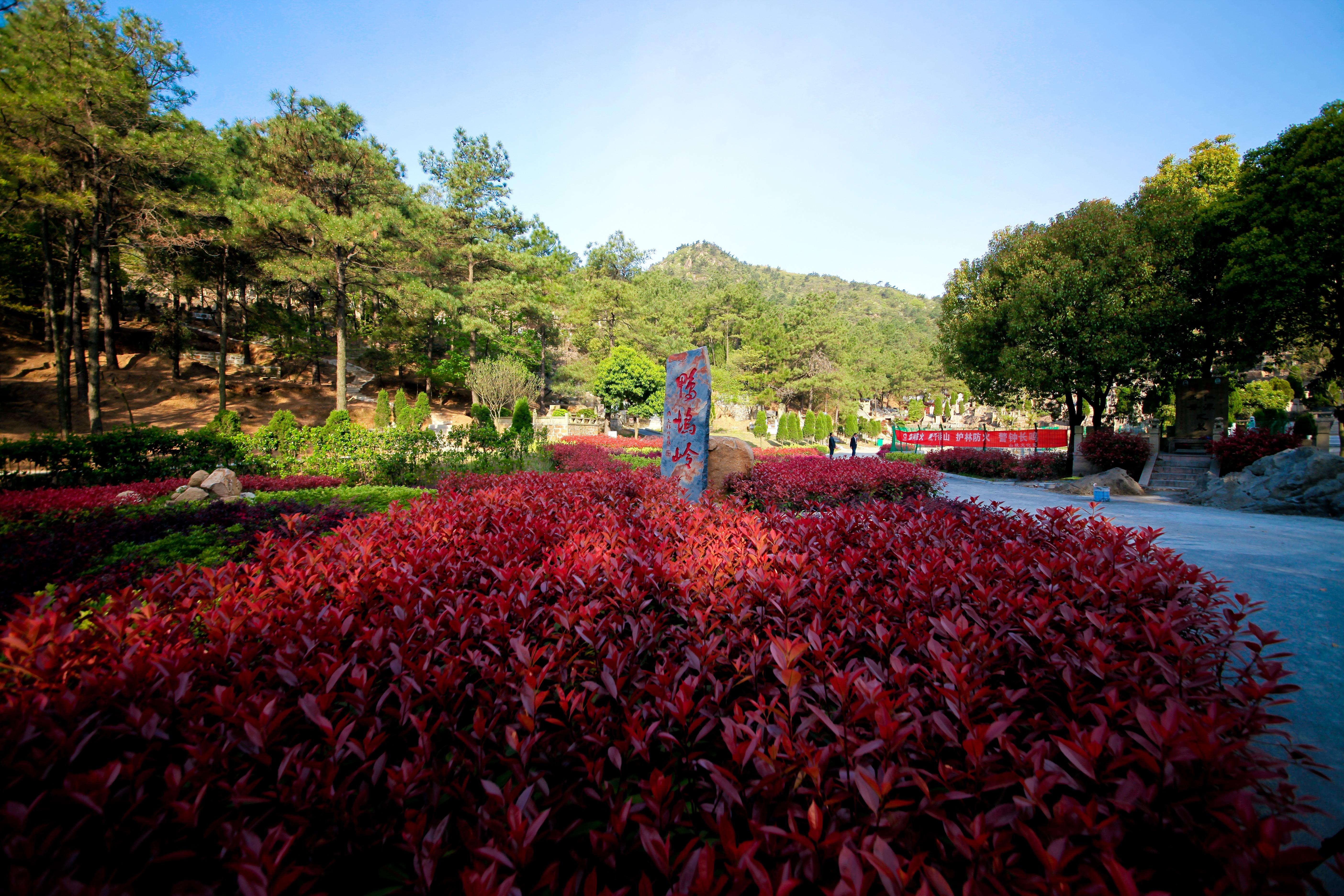 苏州市吴中区木渎山陵文化灵天线公墓园区图片