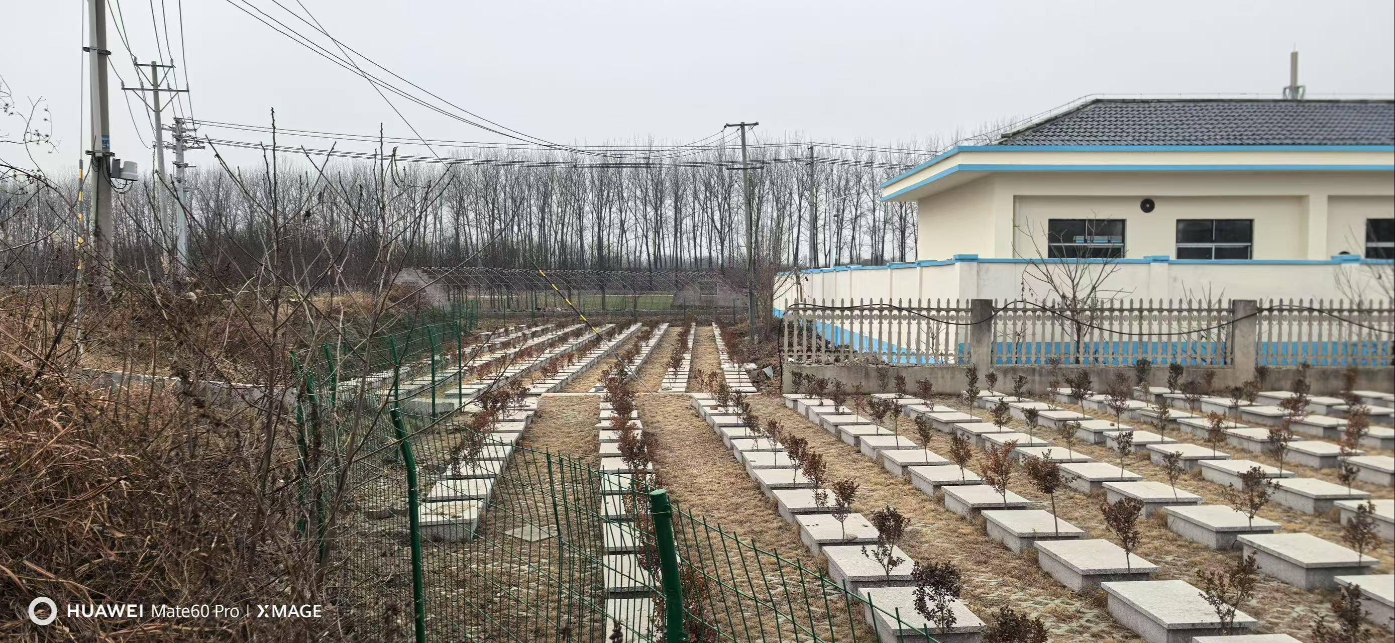 邳州市邹庄镇公益性公墓园区图片