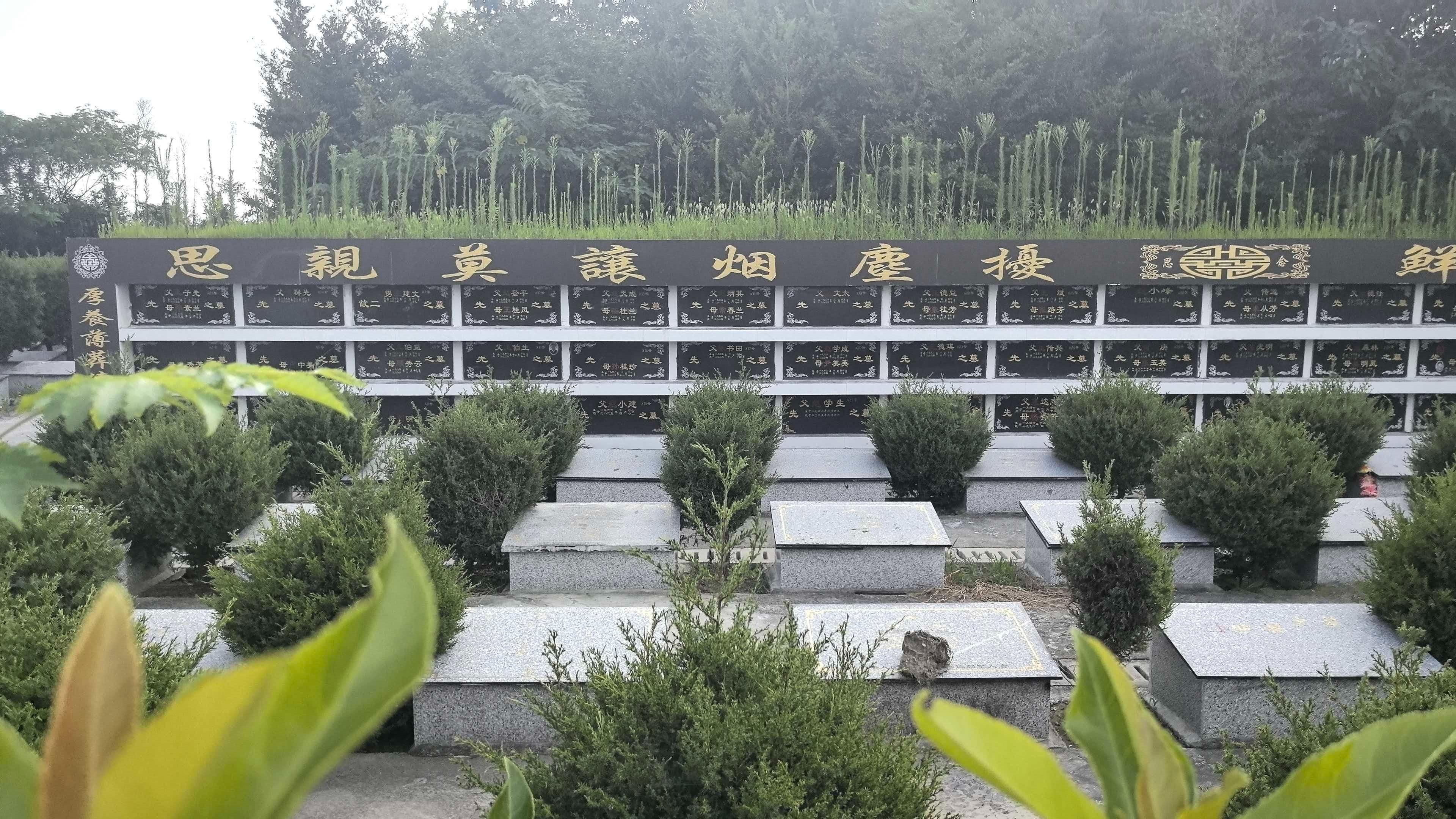 分界镇公益性公墓赵庄墓区园区图片