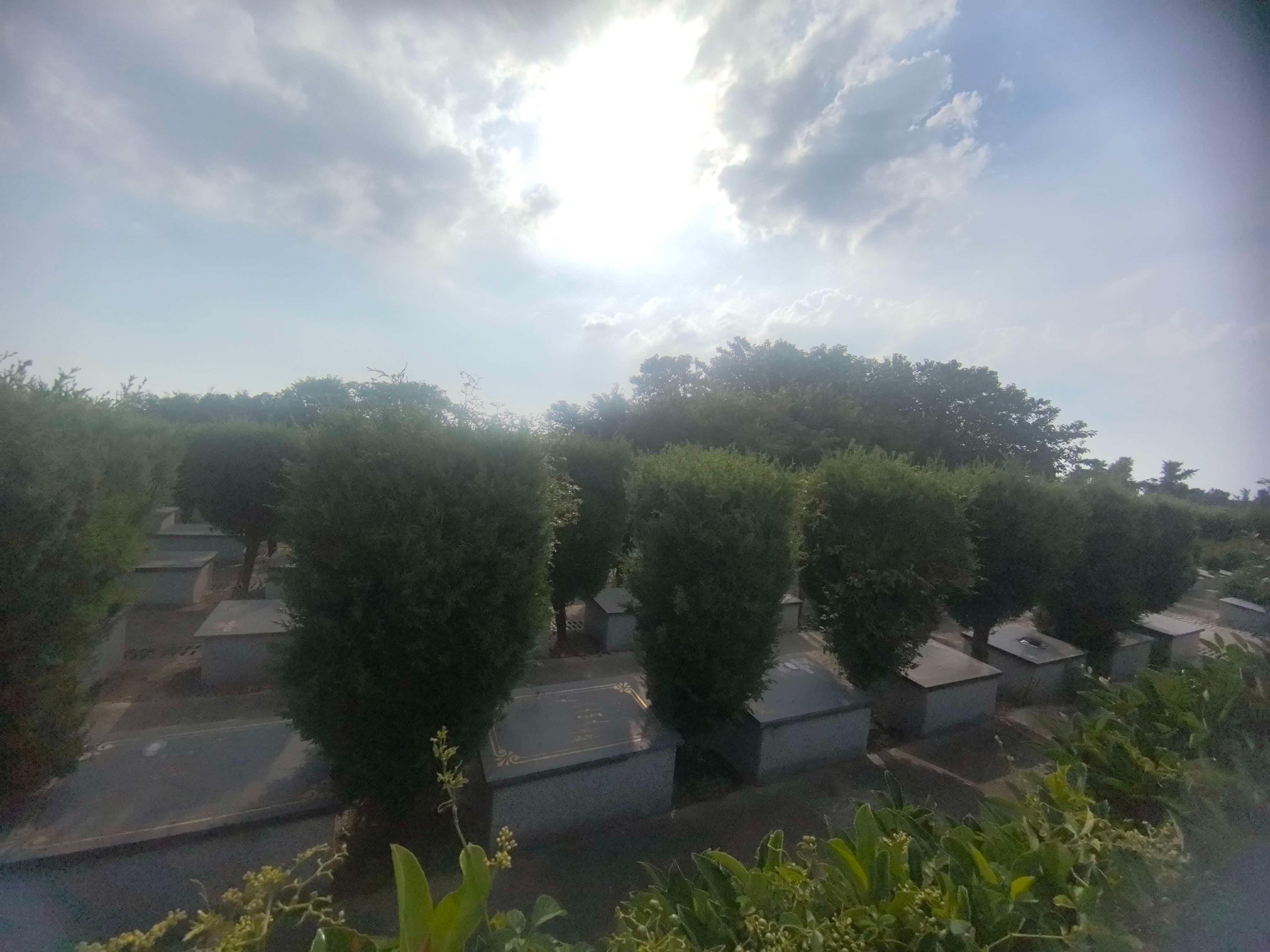 分界镇公益性公墓赵庄墓区园区图片