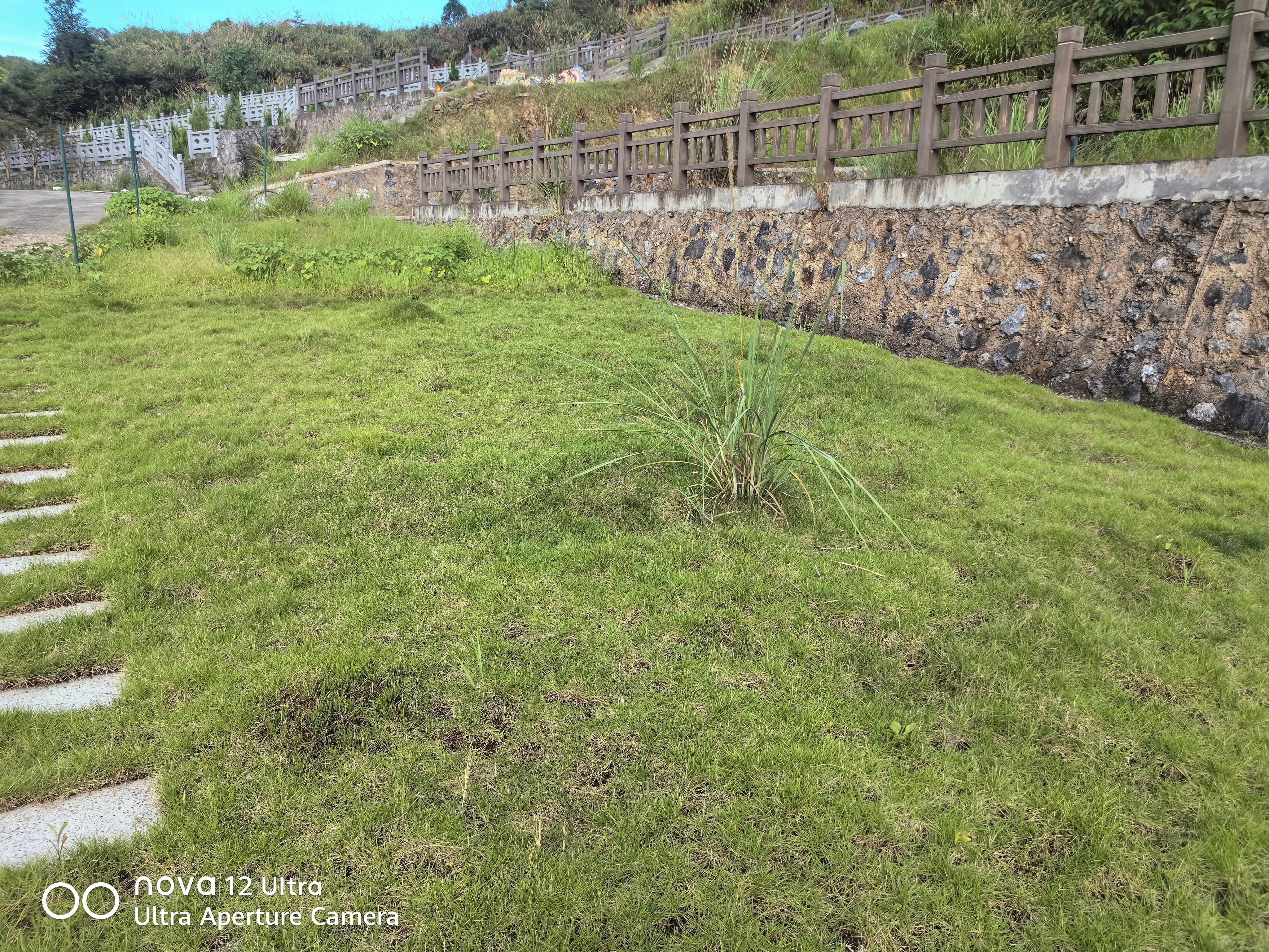 上方镇节地生态安葬点园区图片