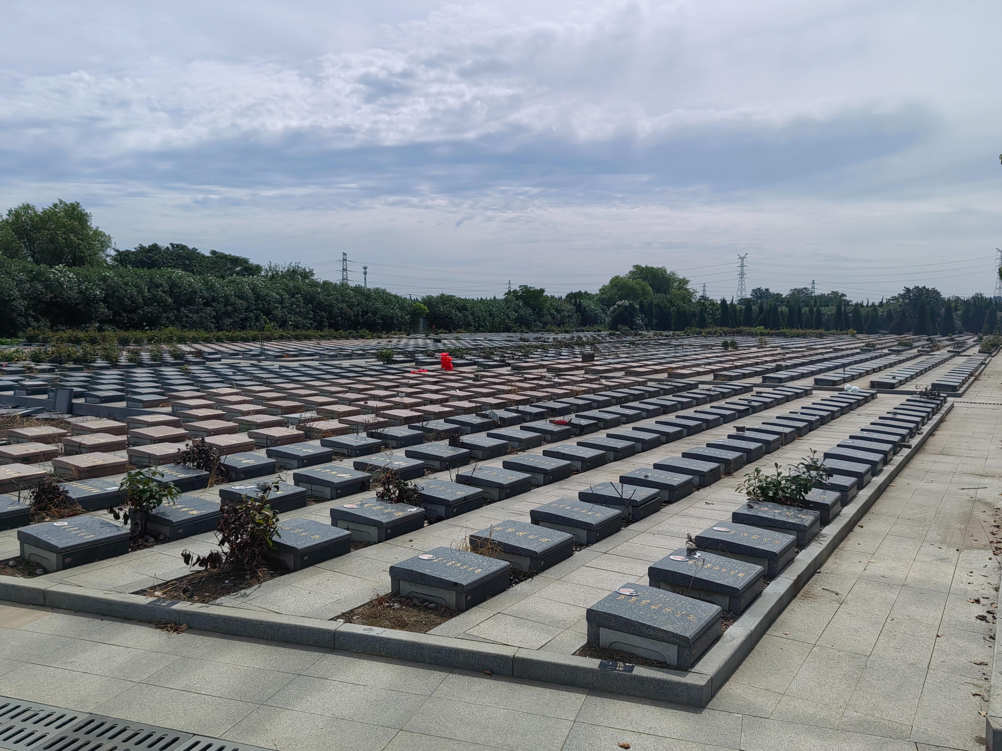 泰兴市滨江镇公益性公墓仁寿墓区园区图片