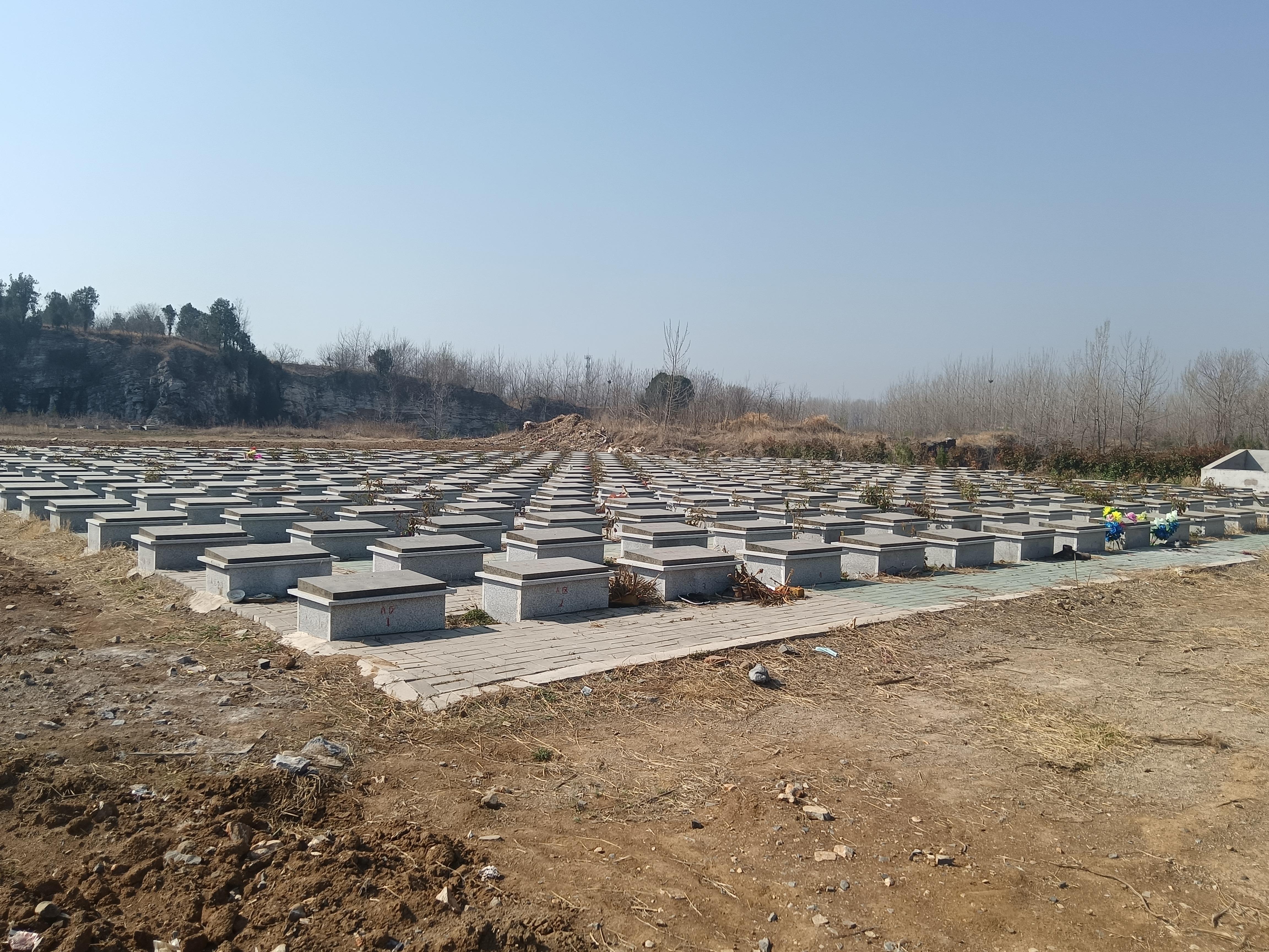 邳州市占城镇润泽园公益性公墓园区图片