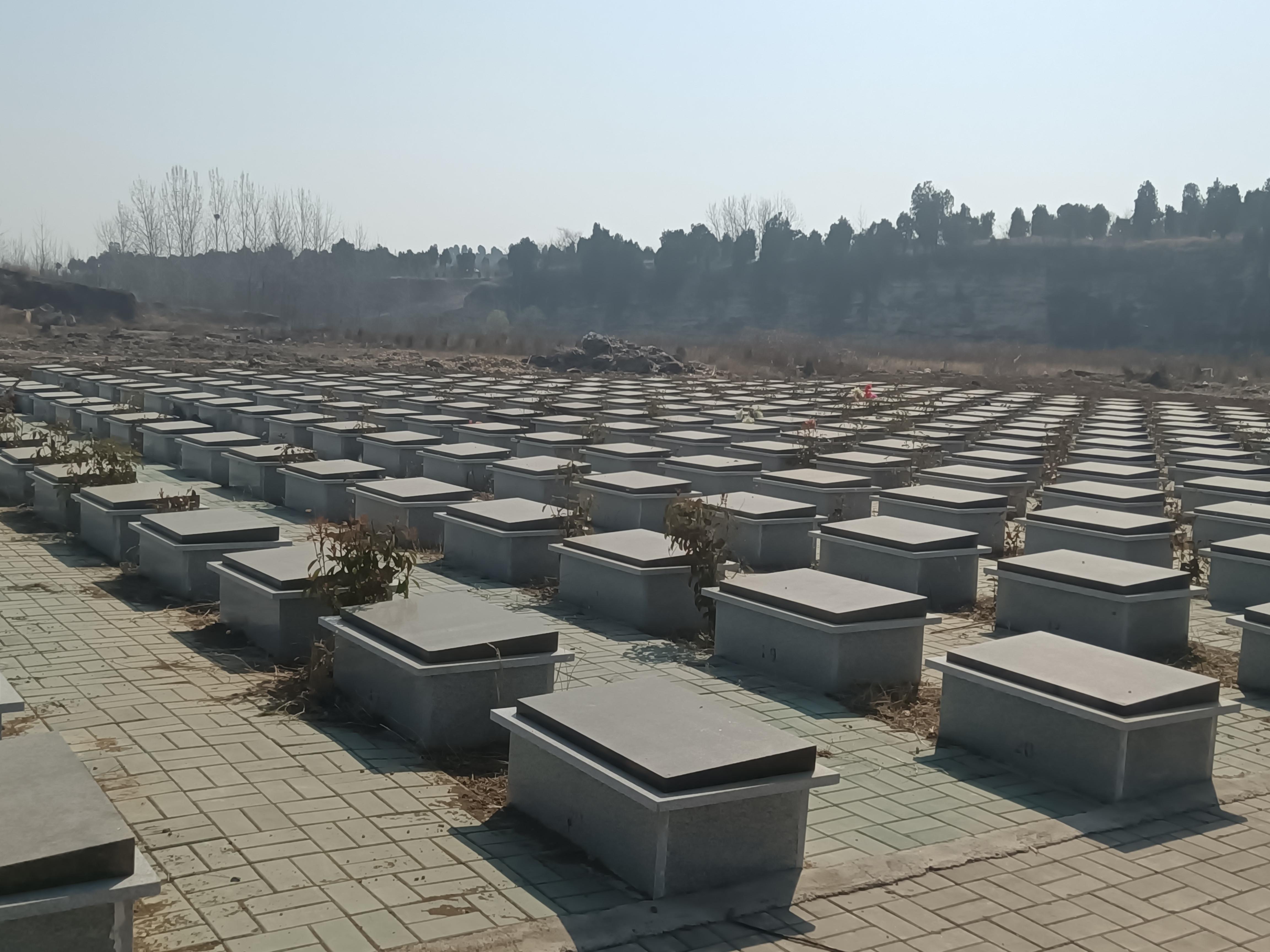 邳州市占城镇润泽园公益性公墓园区图片