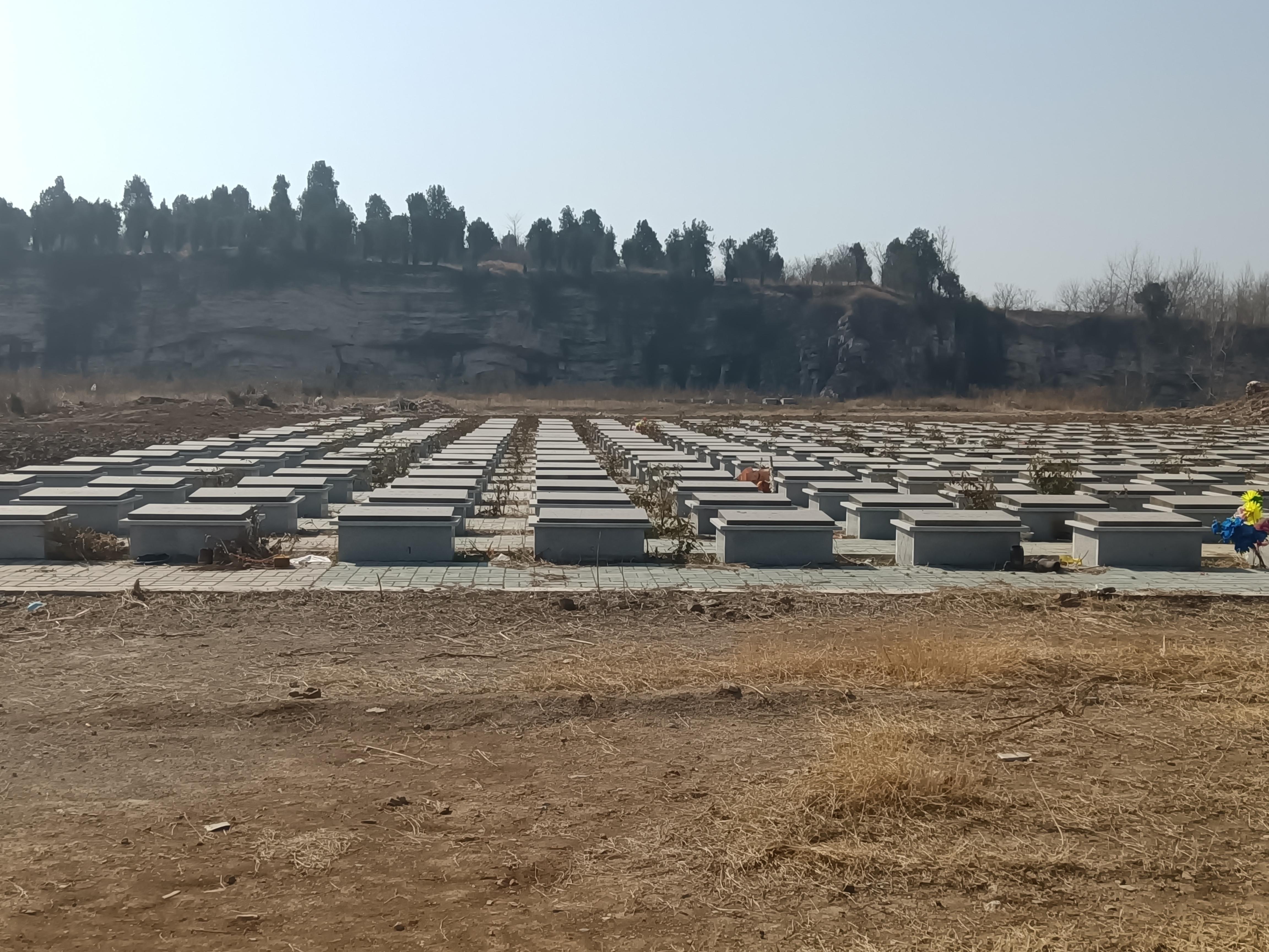 邳州市占城镇润泽园公益性公墓园区图片