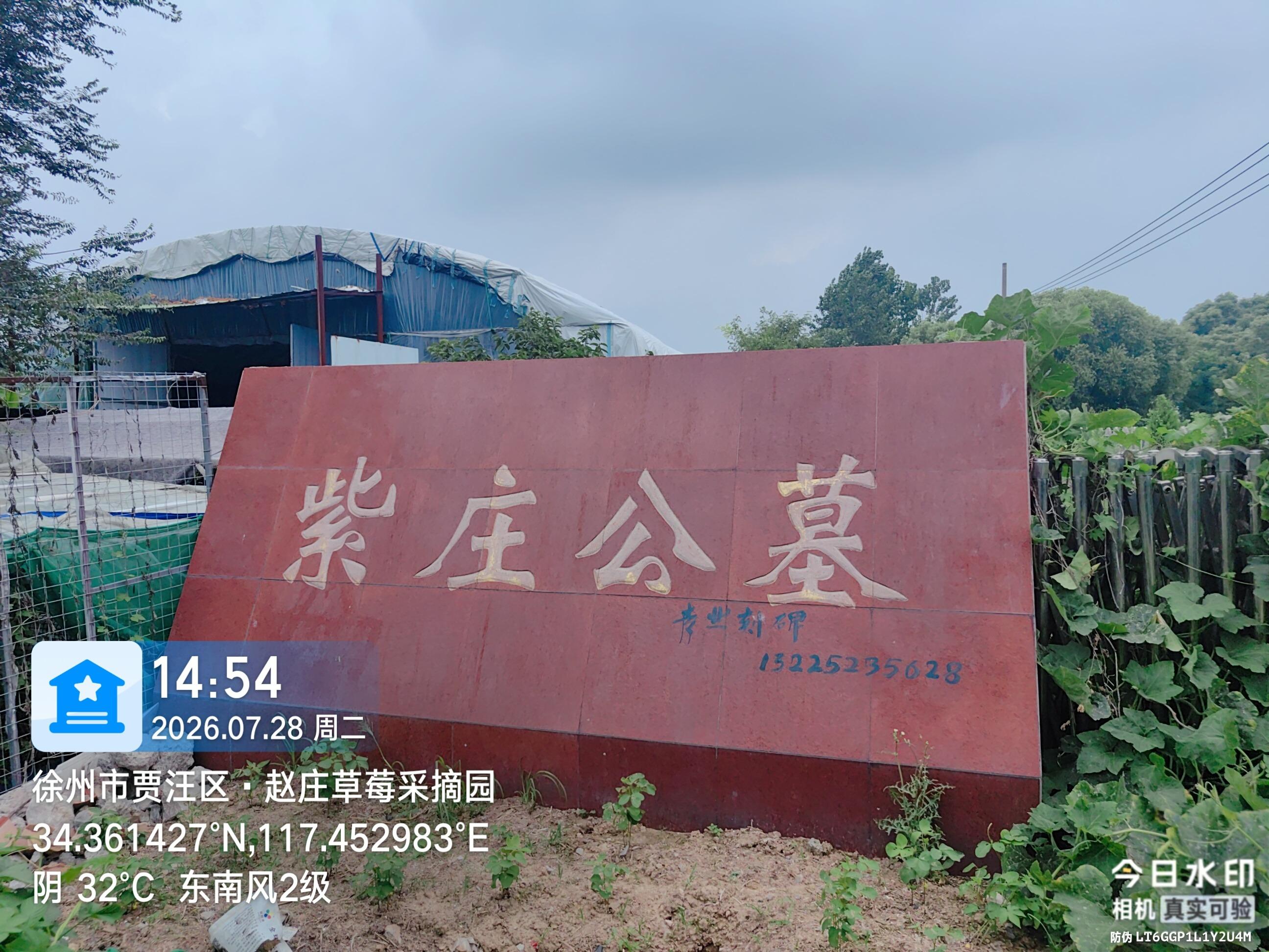 紫庄镇董庄村公益性公墓园区图片