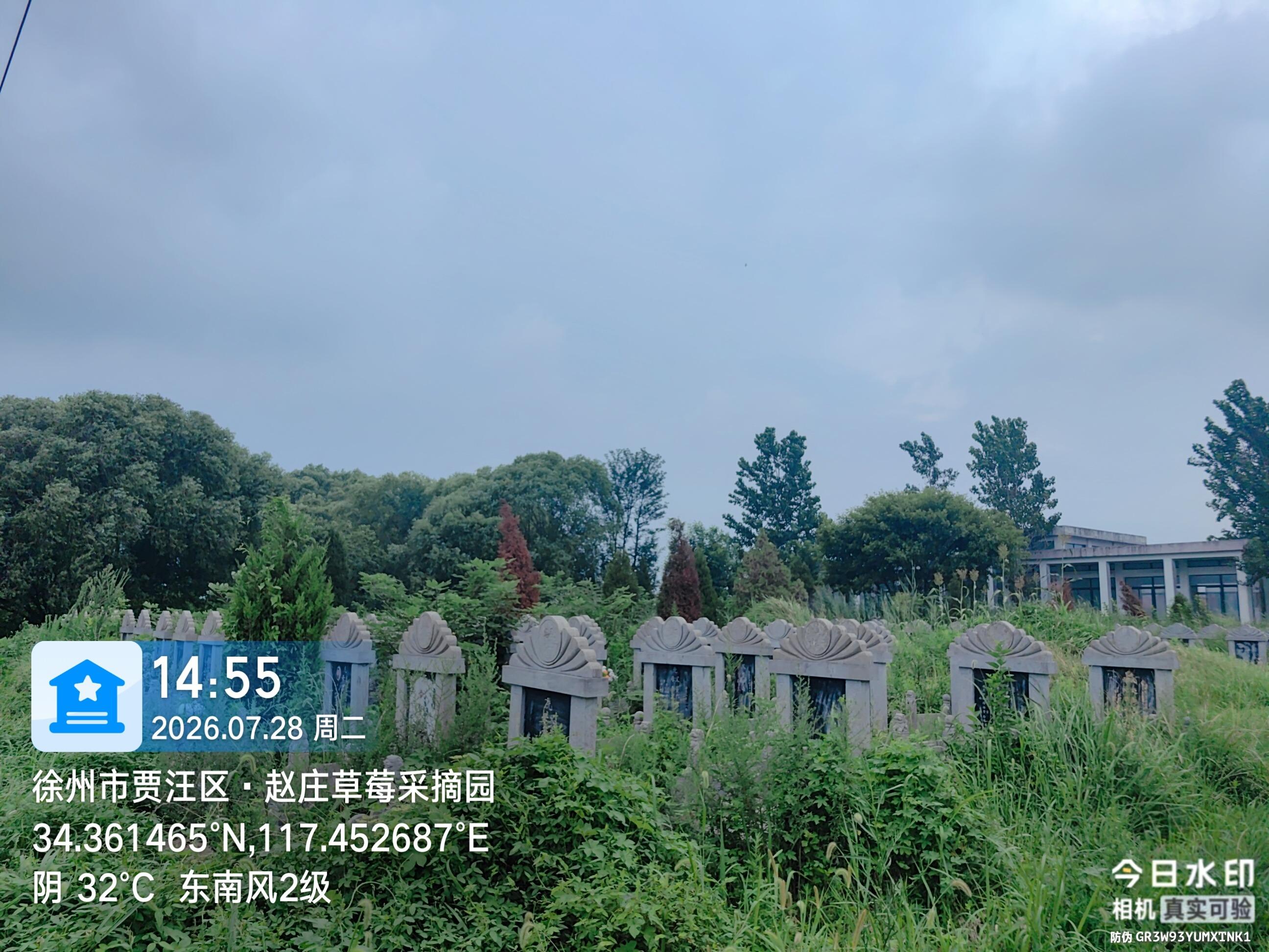 紫庄镇董庄村公益性公墓园区图片