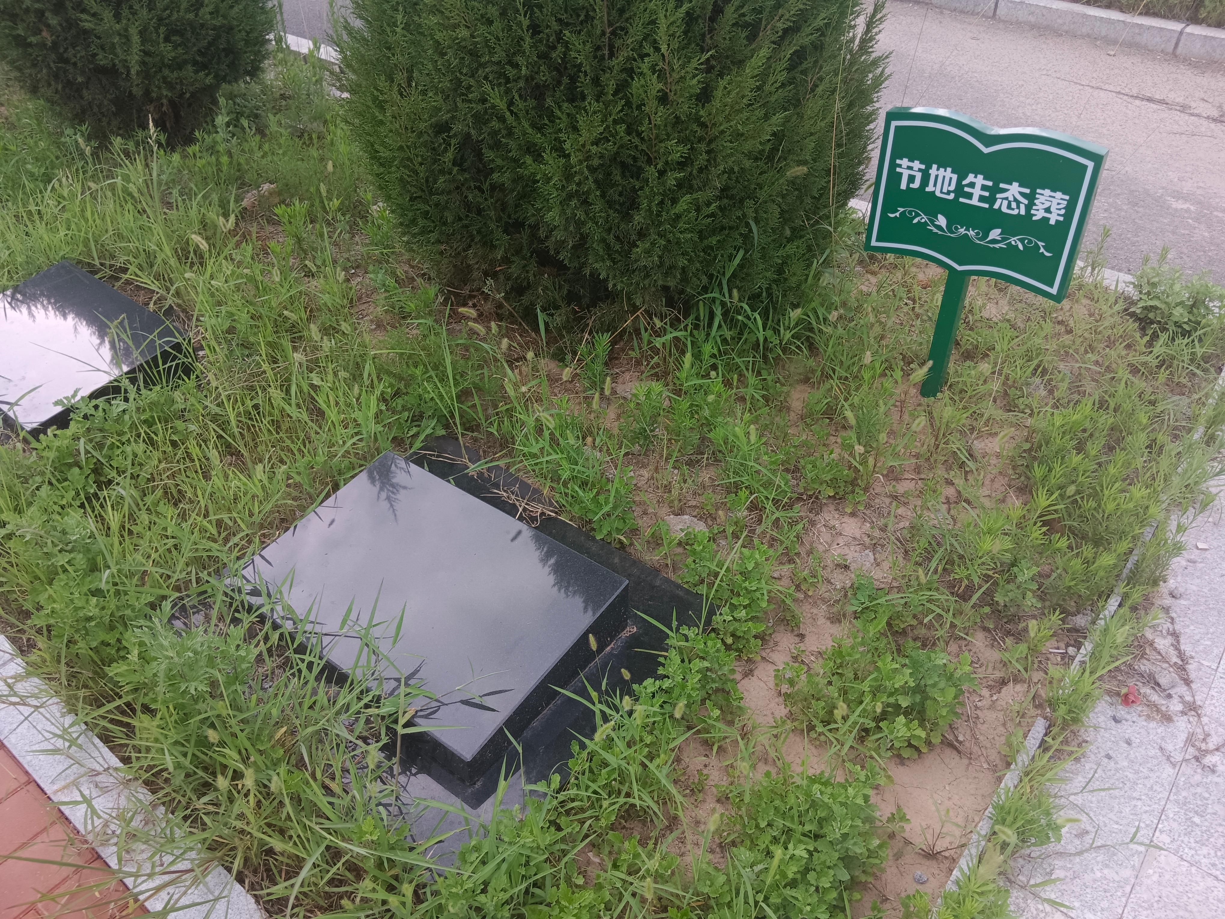 武陟县城市公益性公墓园区图片