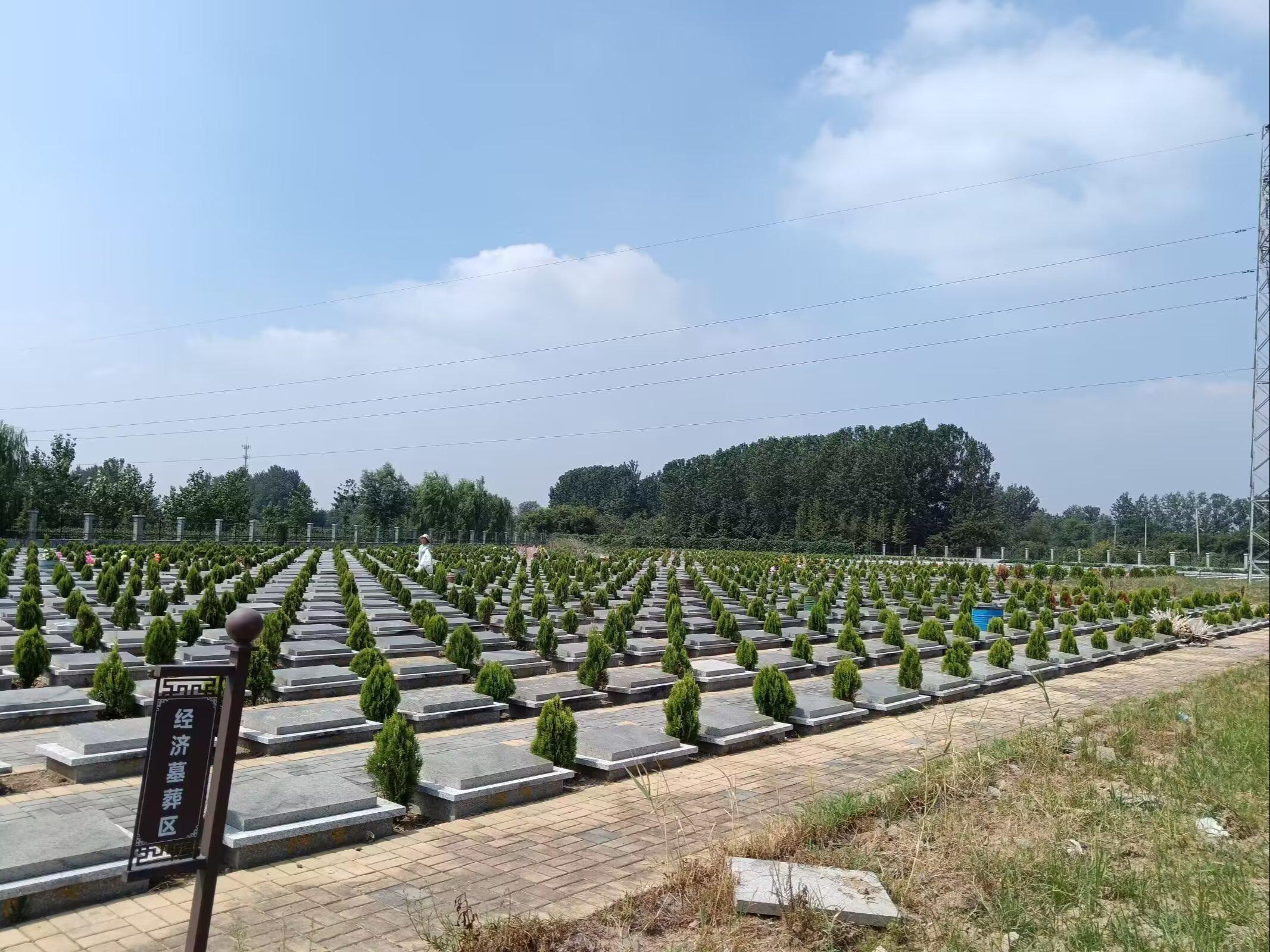 墨河街道马场公墓园区图片