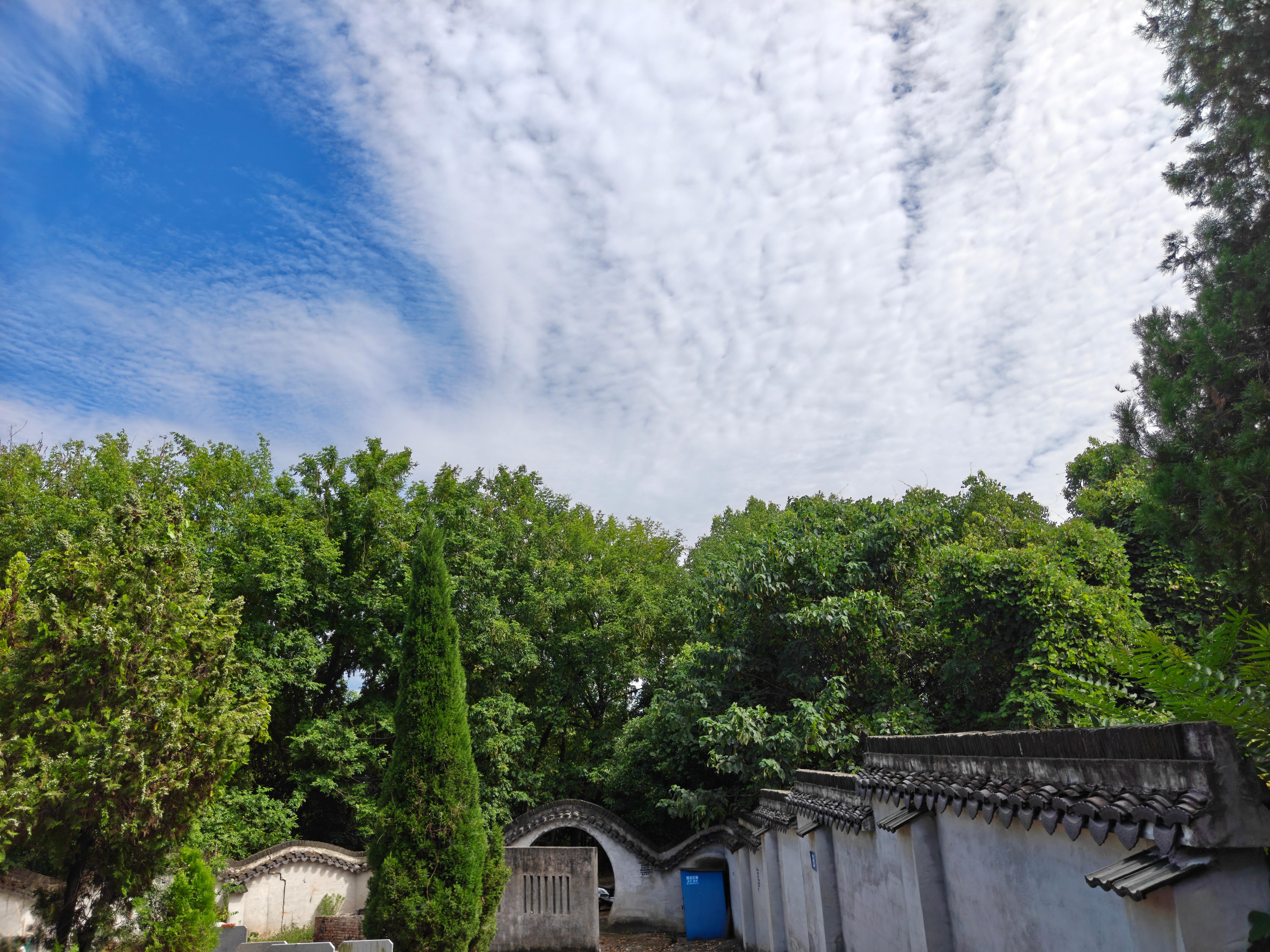 鱼龙山公墓园区图片