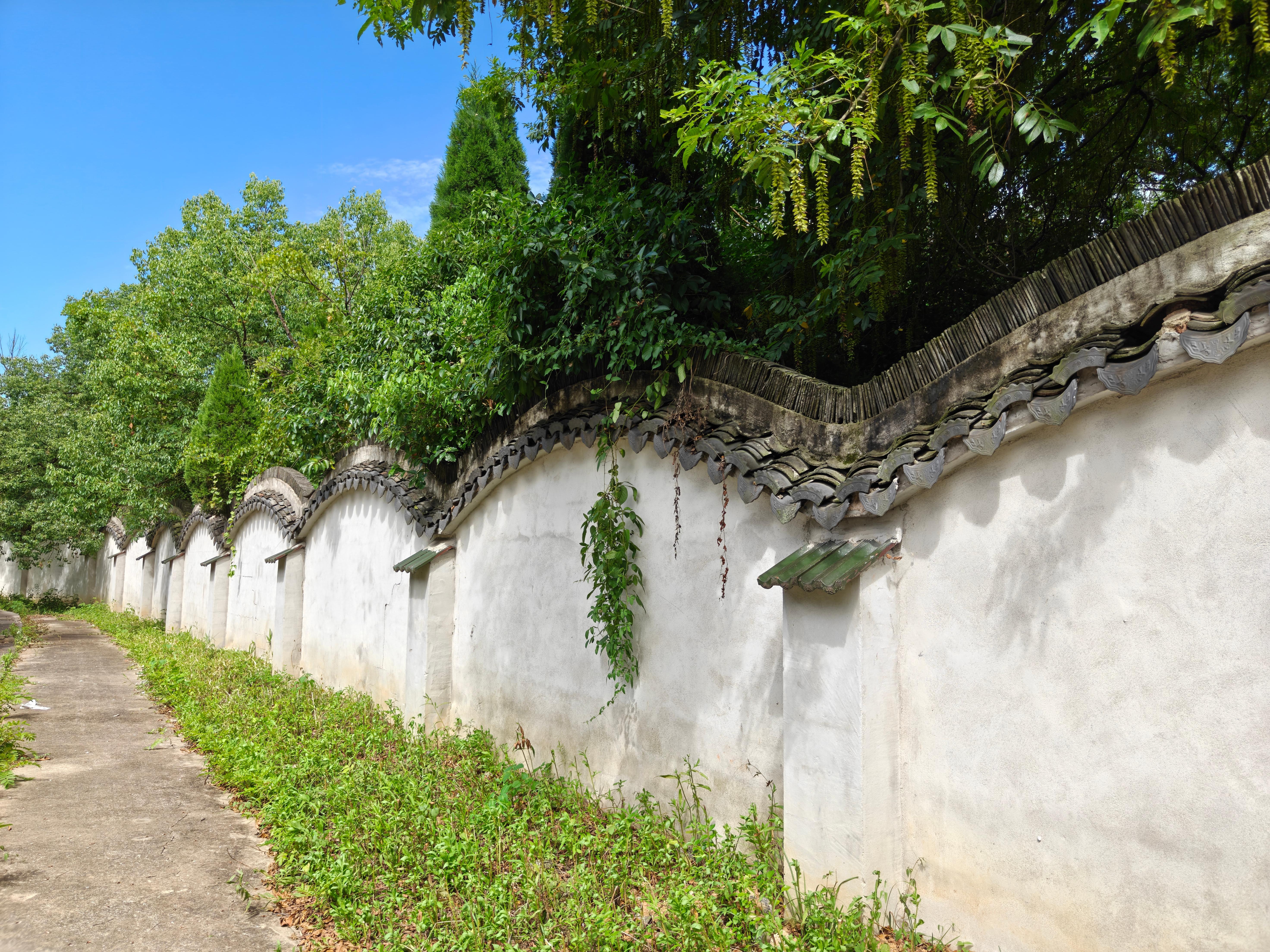 鱼龙山公墓园区图片