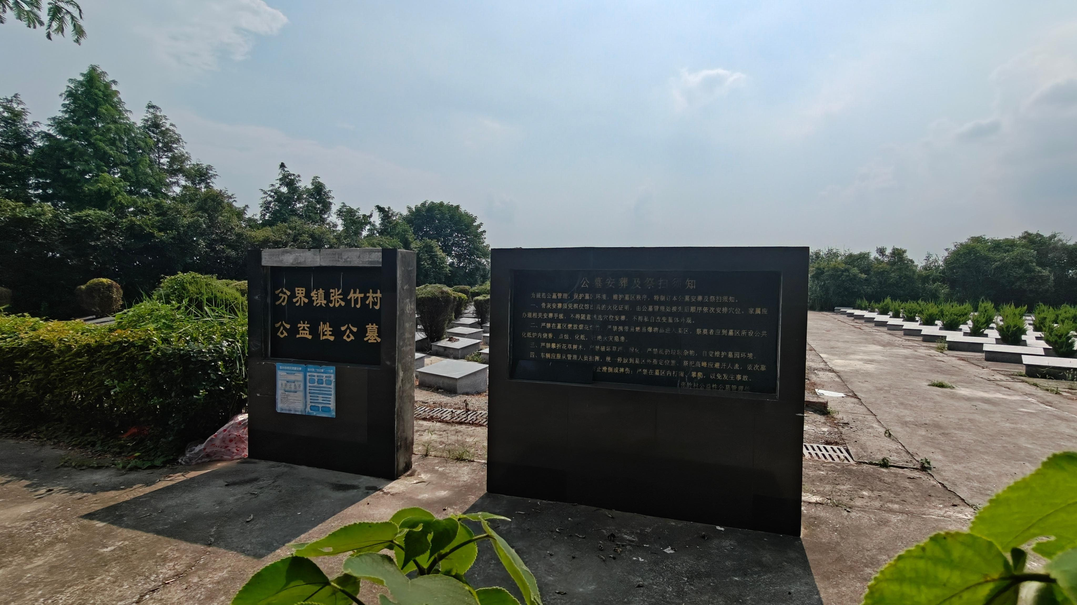 分界镇公益性公墓张竹墓区园区图片