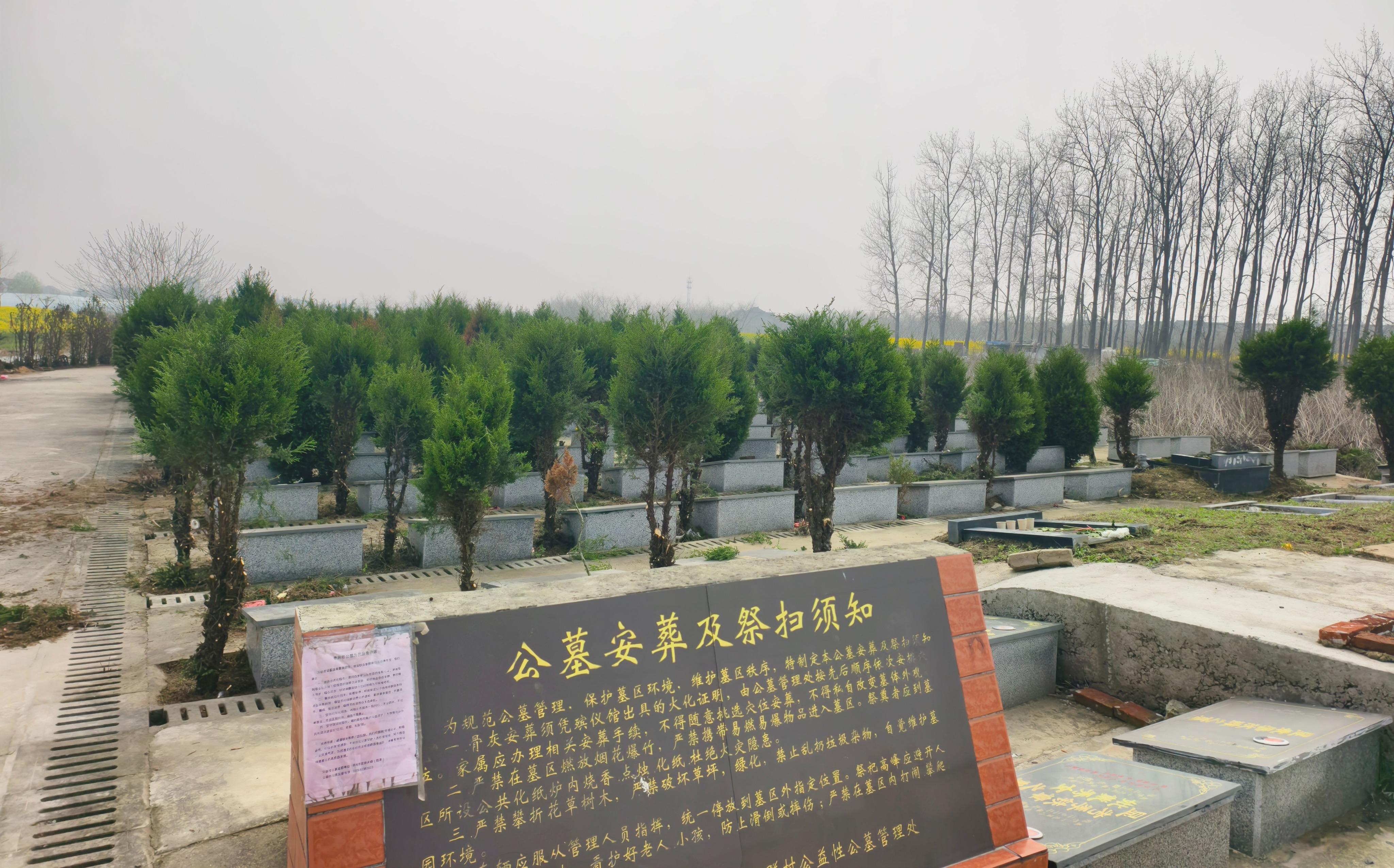 泰兴市宣堡镇公益性公墓毛群村墓区园区图片