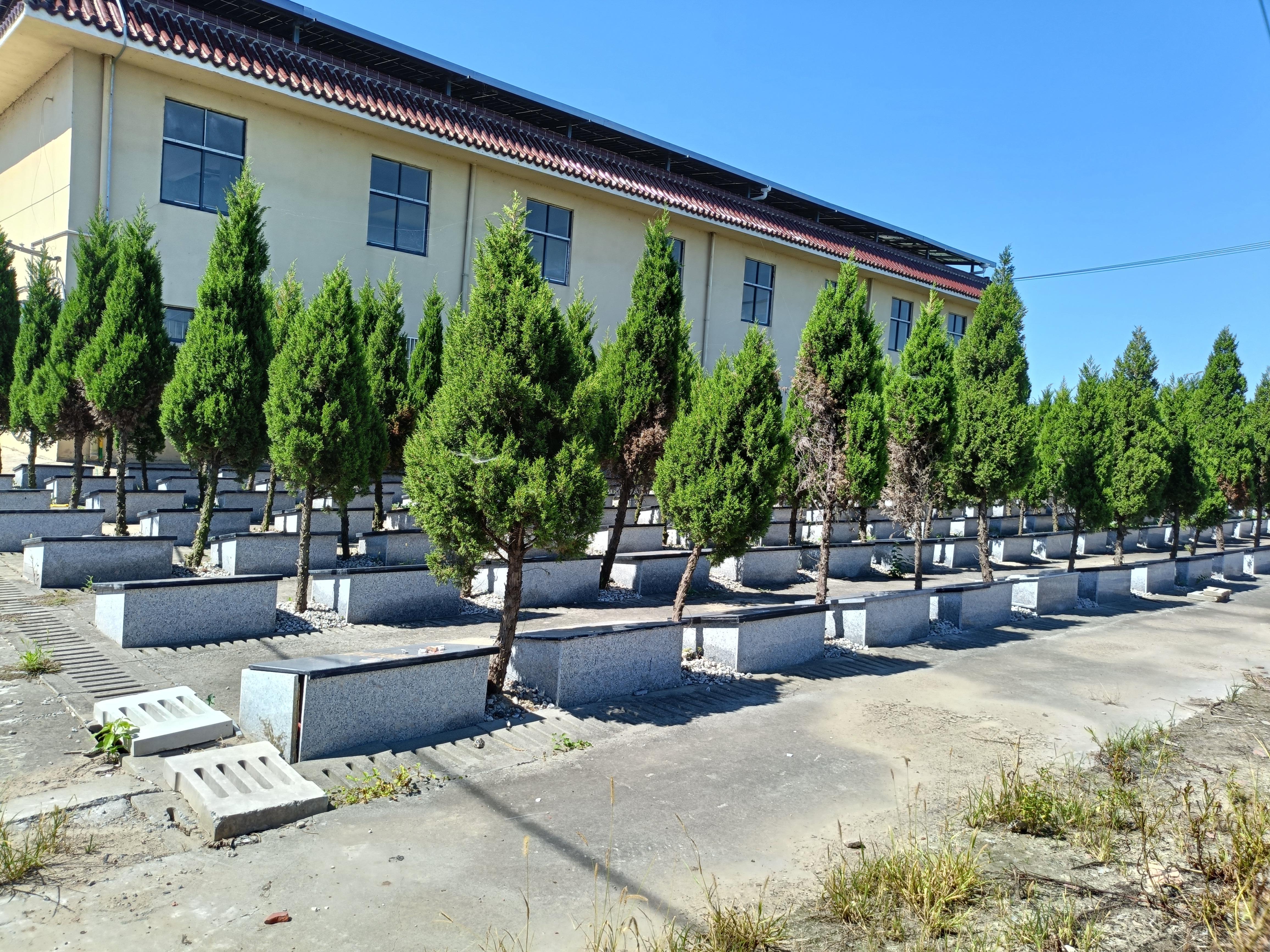 泰兴市宣堡镇公益性公墓（梅埝村墓区）园区图片