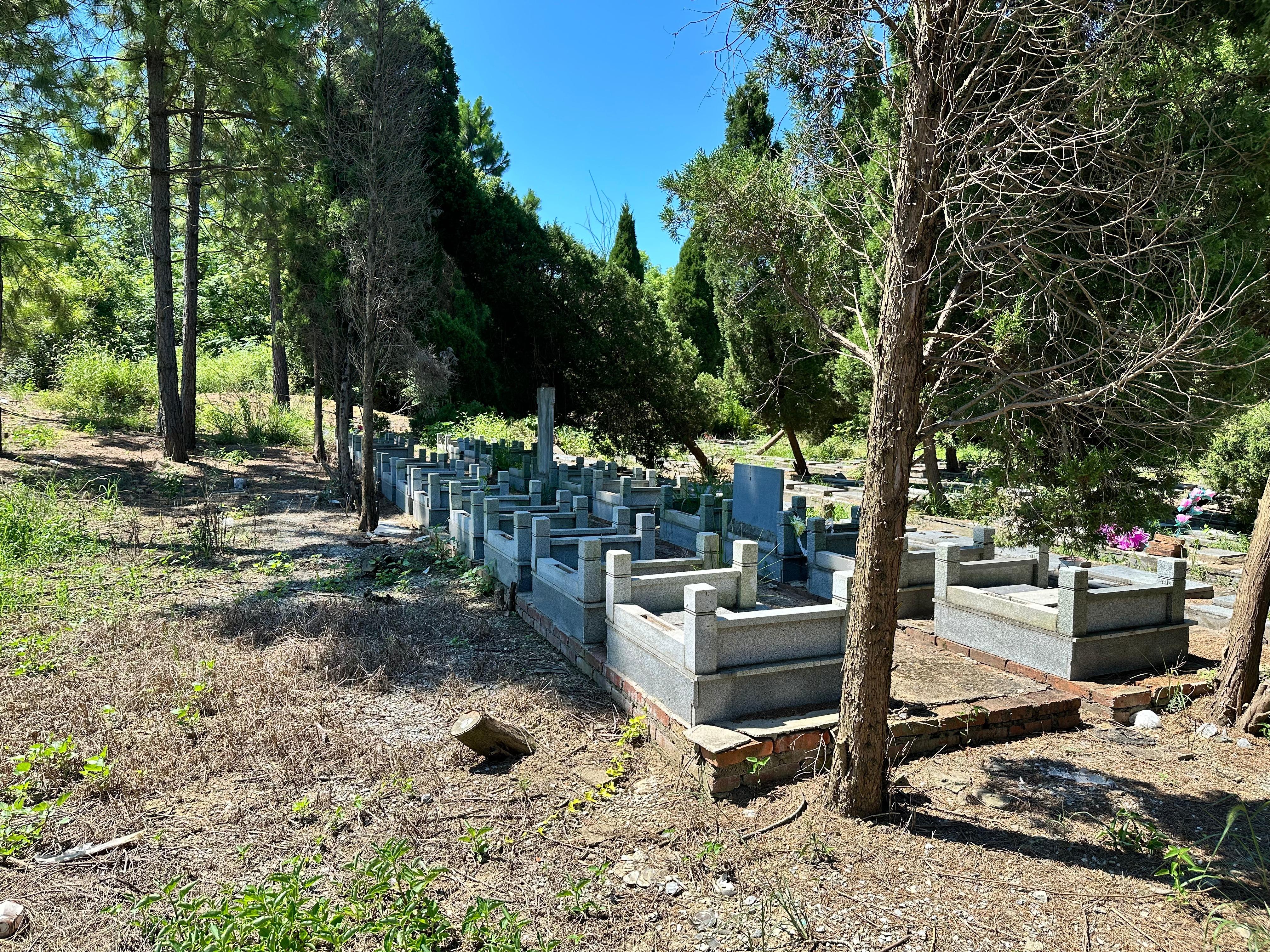 固城街道漕塘村平山公墓园区图片