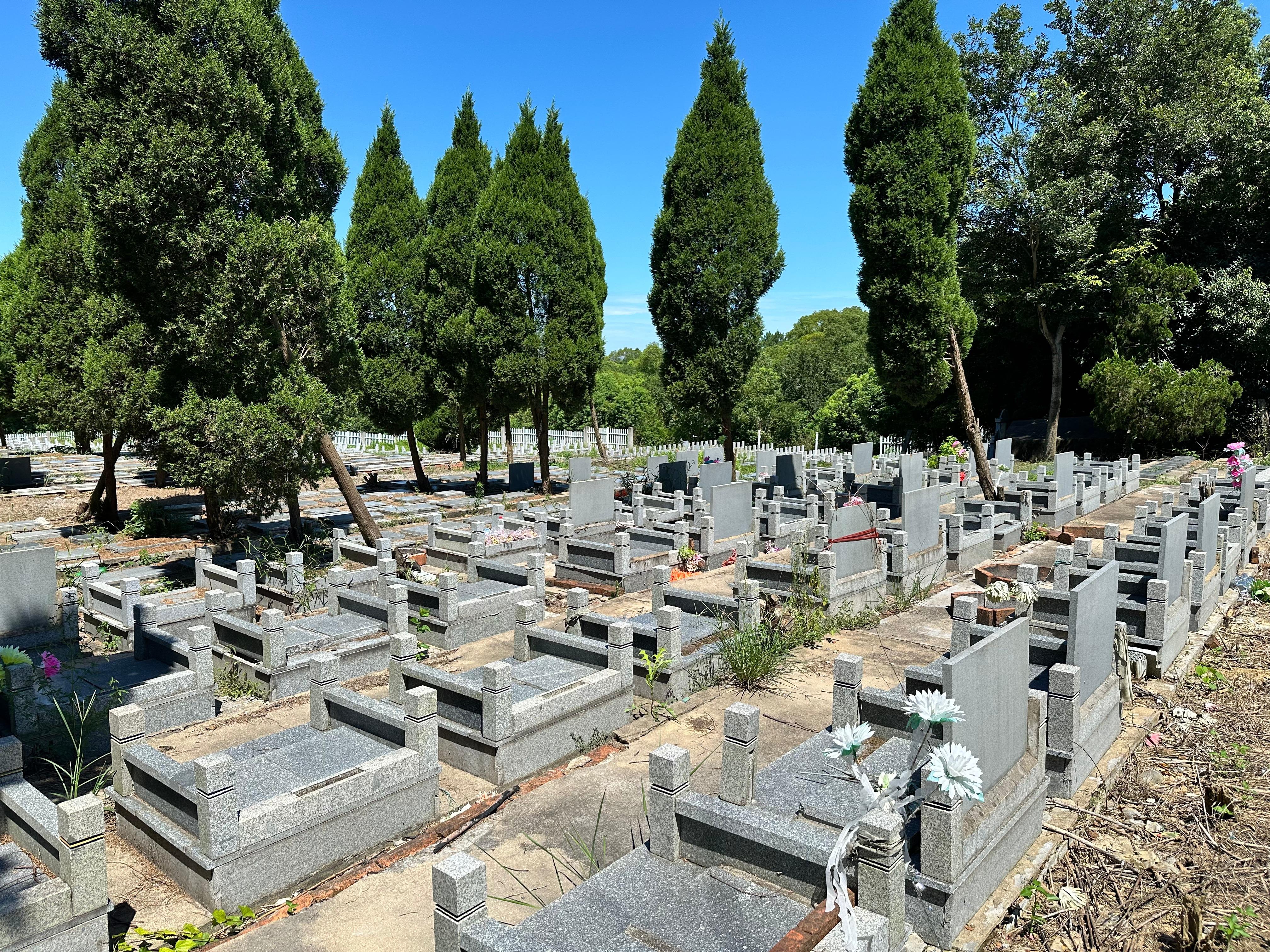 固城街道漕塘村平山公墓园区图片