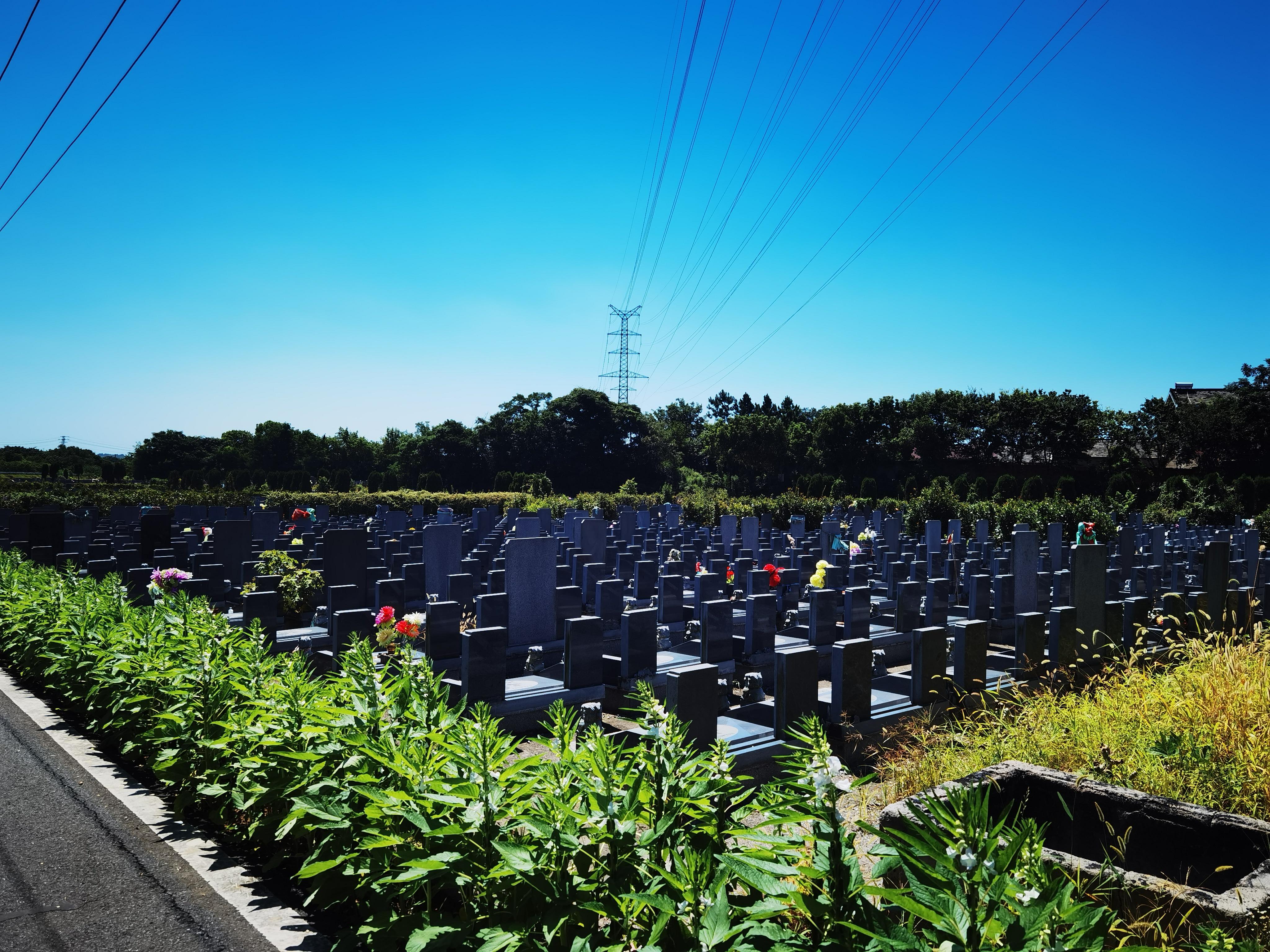 淳溪街道花园山公墓园区图片