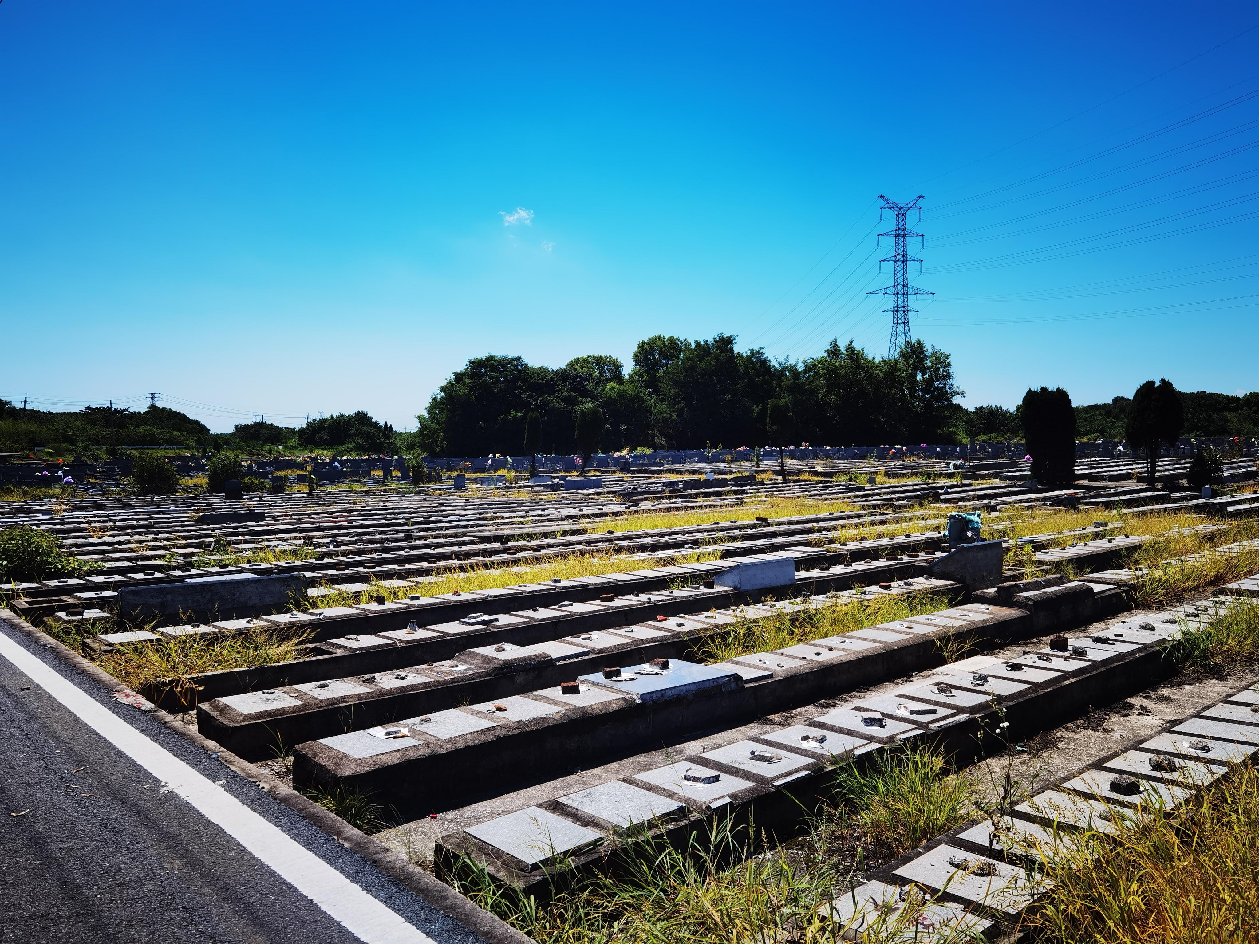 淳溪街道花园山公墓园区图片