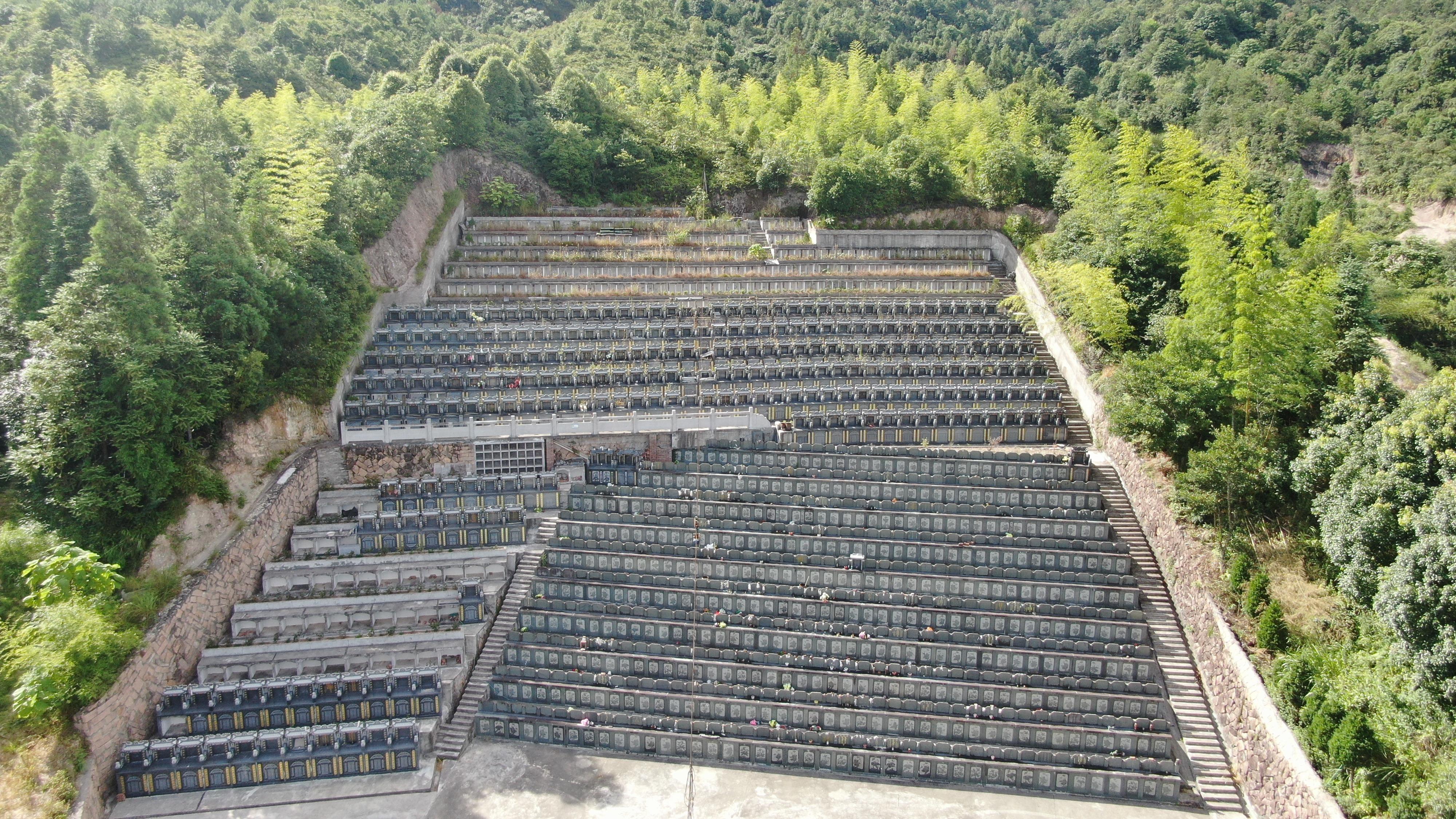 大安乡林店公益性公墓园区图片