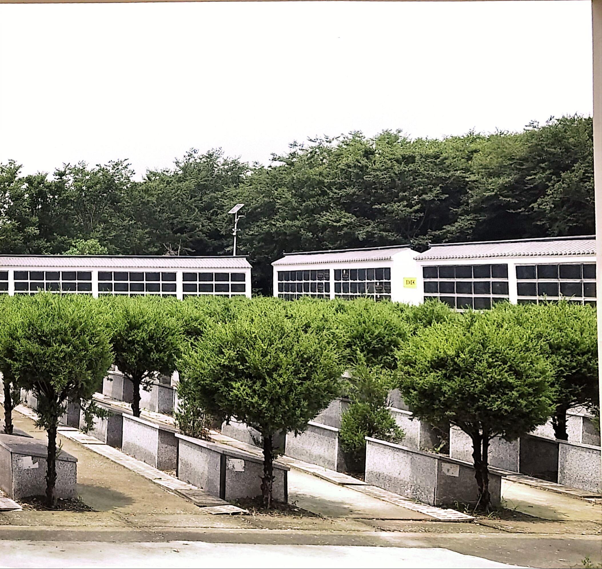 黄桥镇公益性公墓王庄墓区园区图片