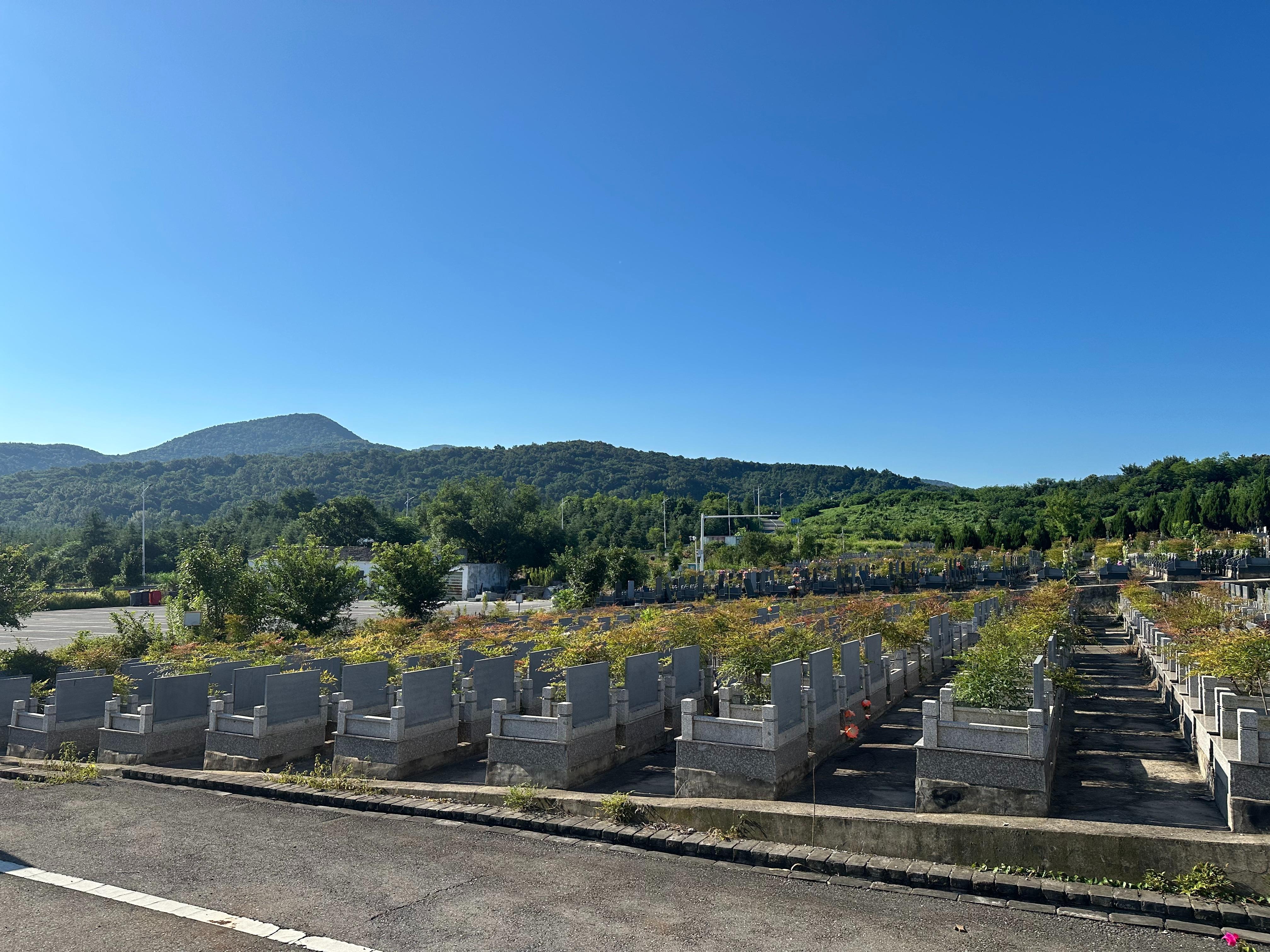 百家山公墓园区图片
