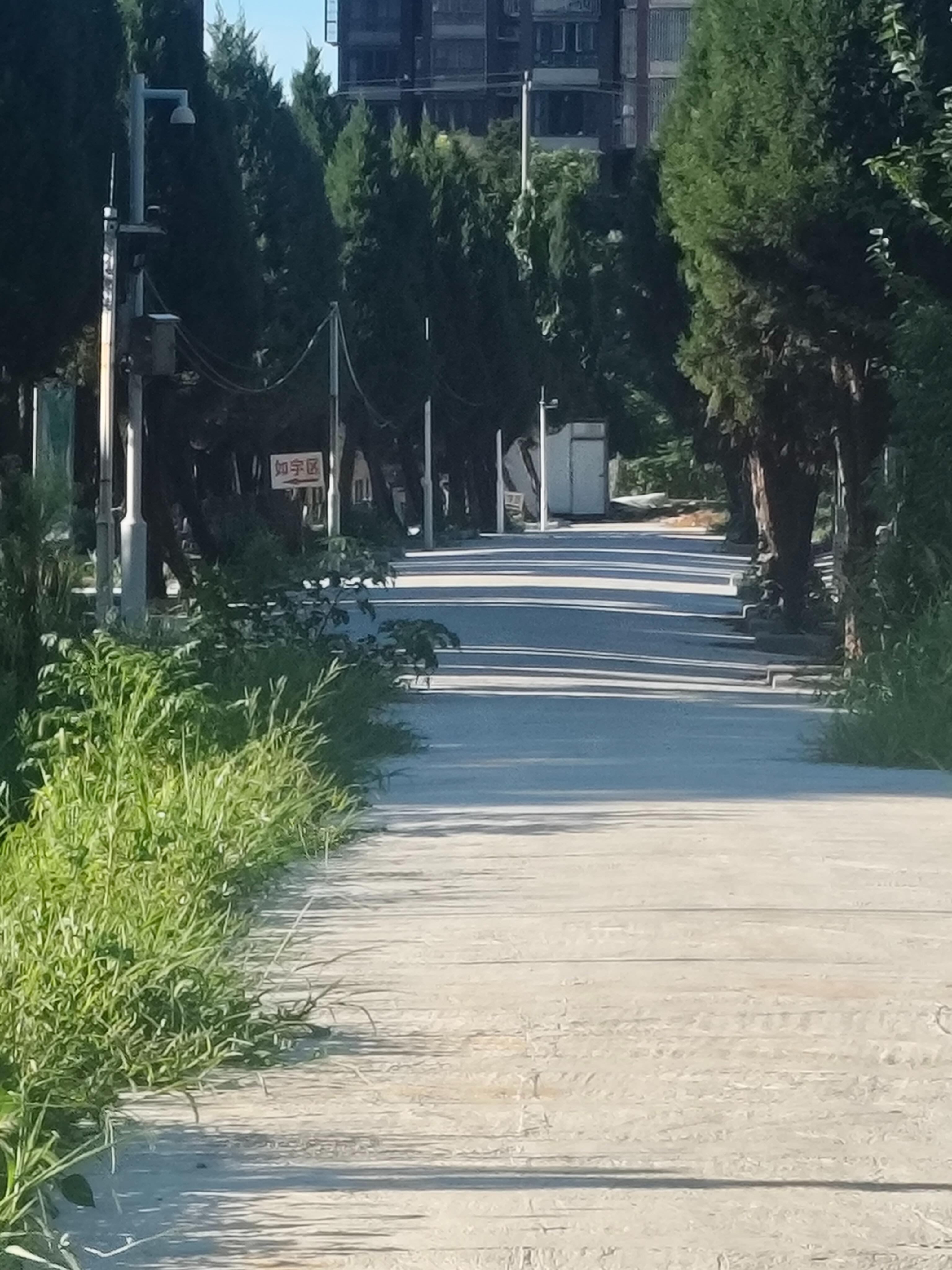 天安公墓园区图片