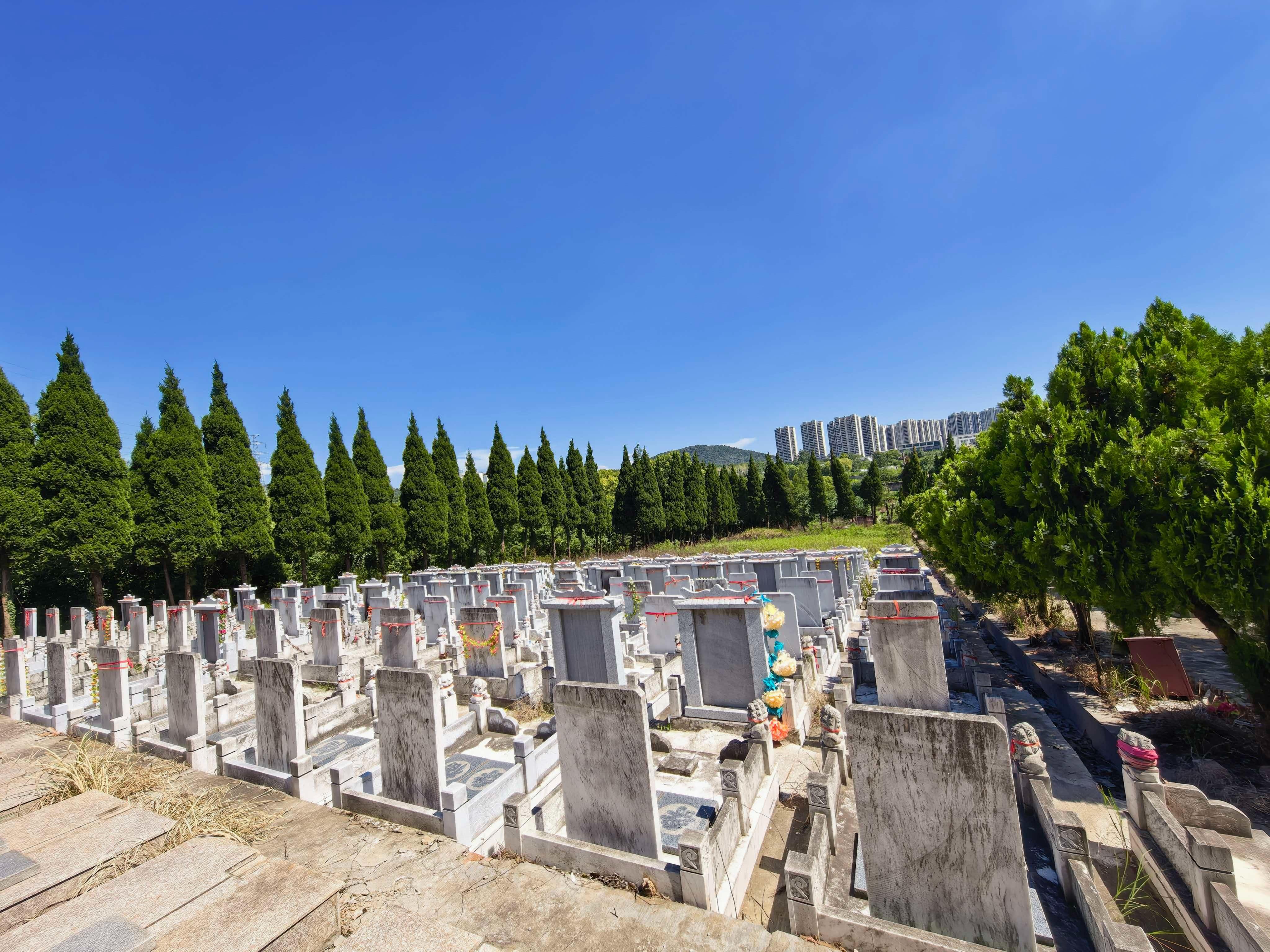 章村万安陵园园区图片