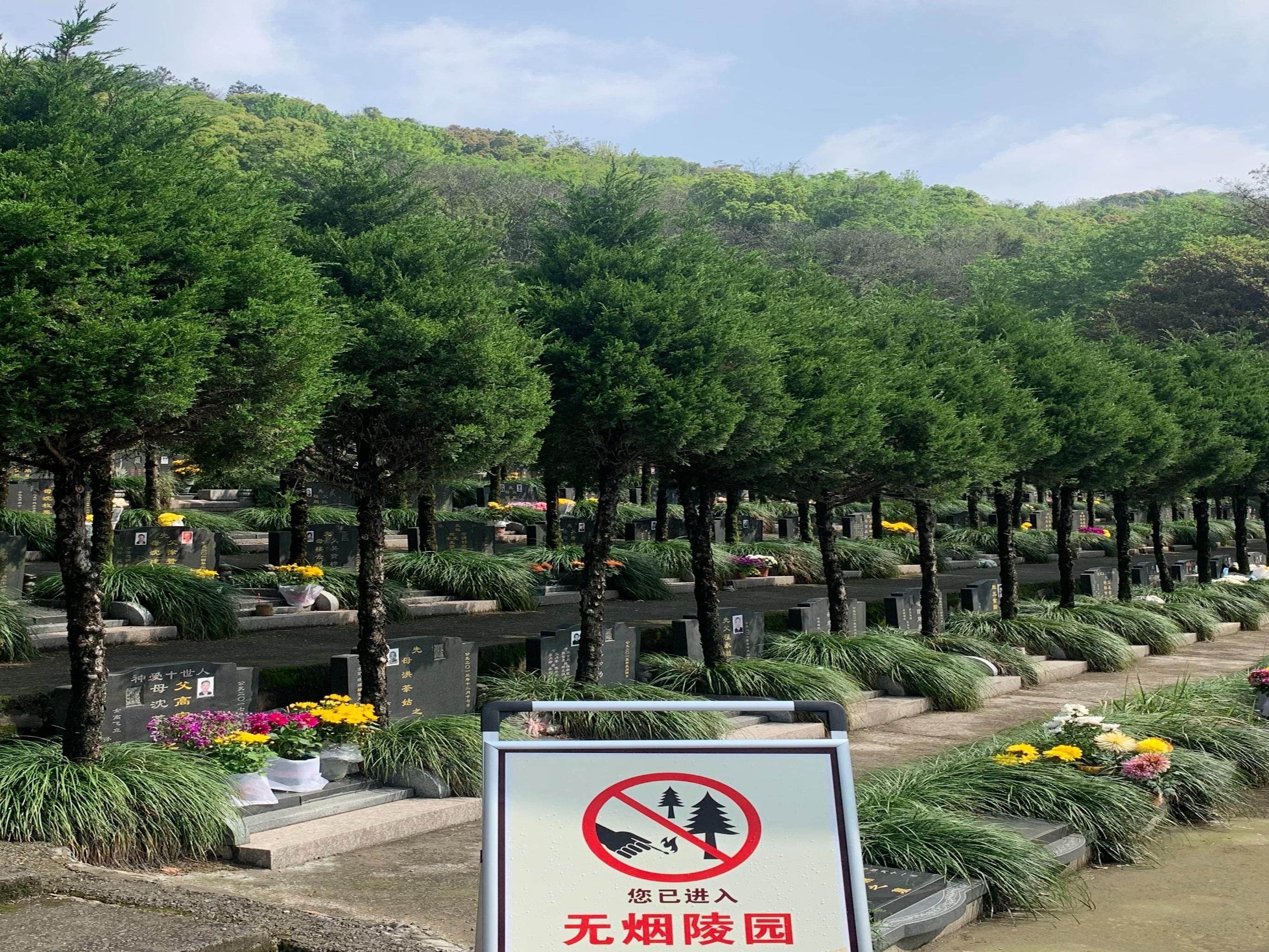 东郊陵园园区图片