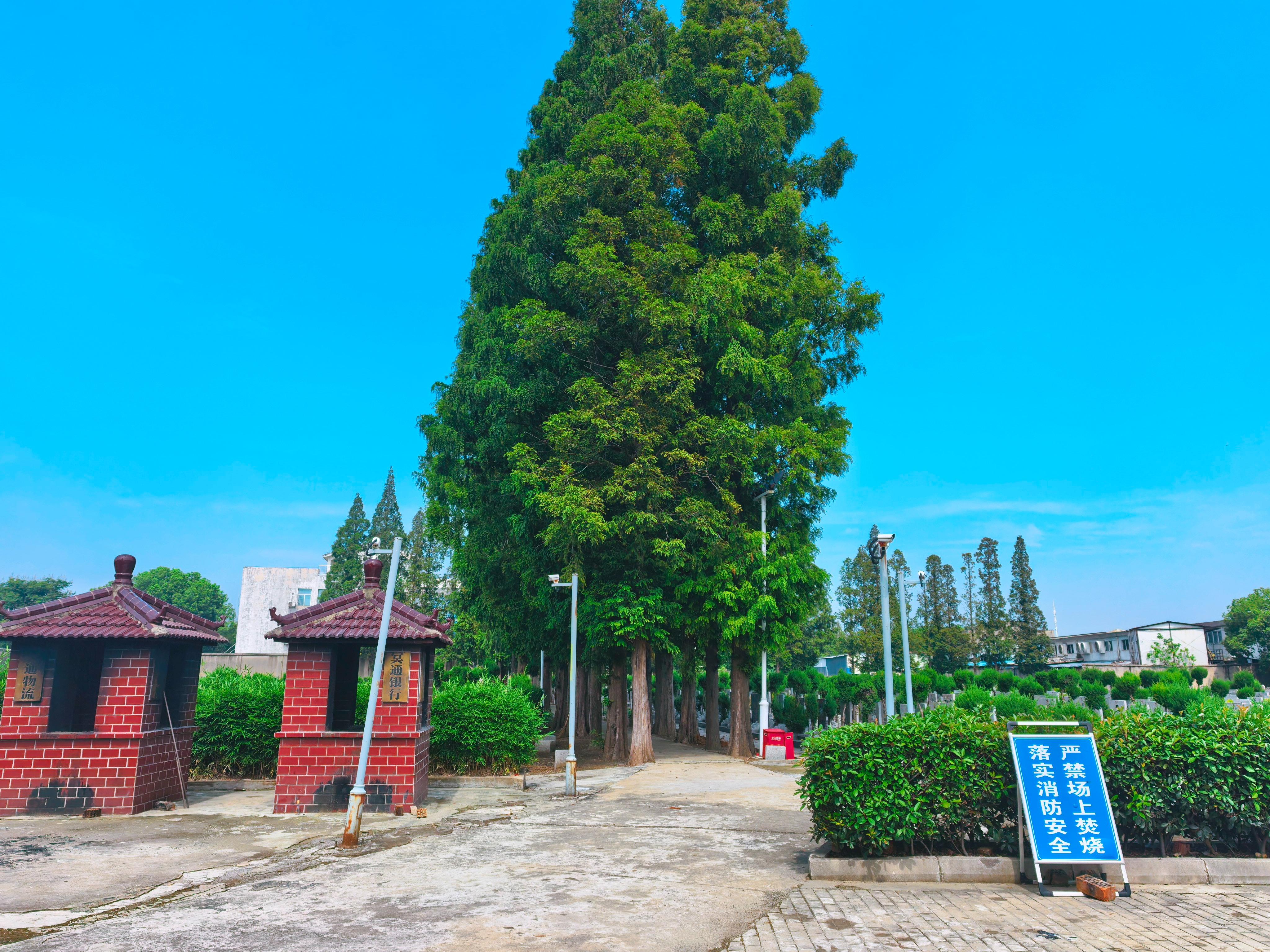甪直镇陵园公墓园区图片