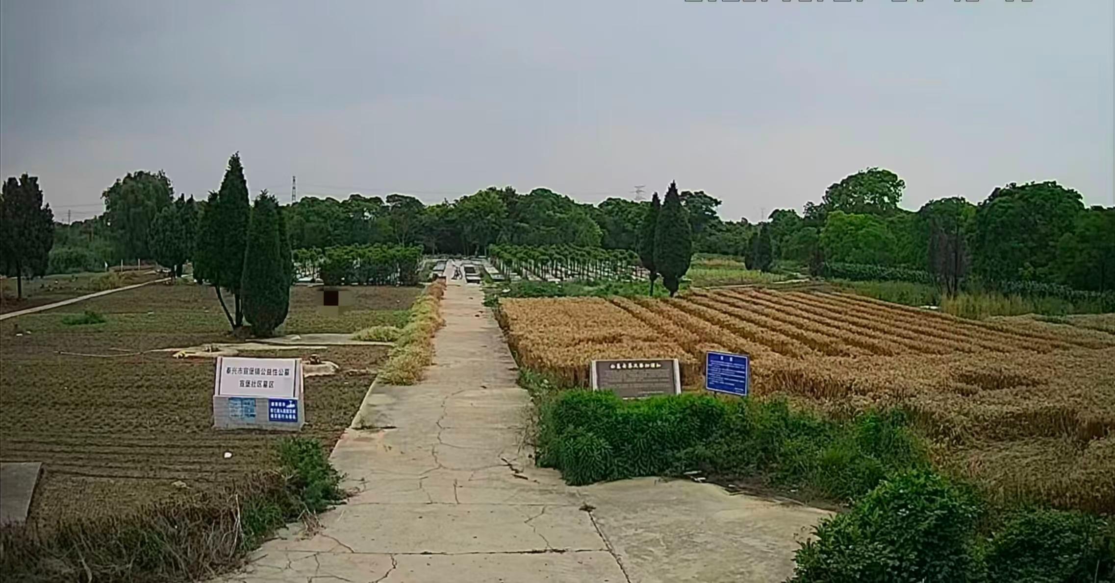 泰兴市宣堡镇公益性公墓宣堡社区墓区园区图片