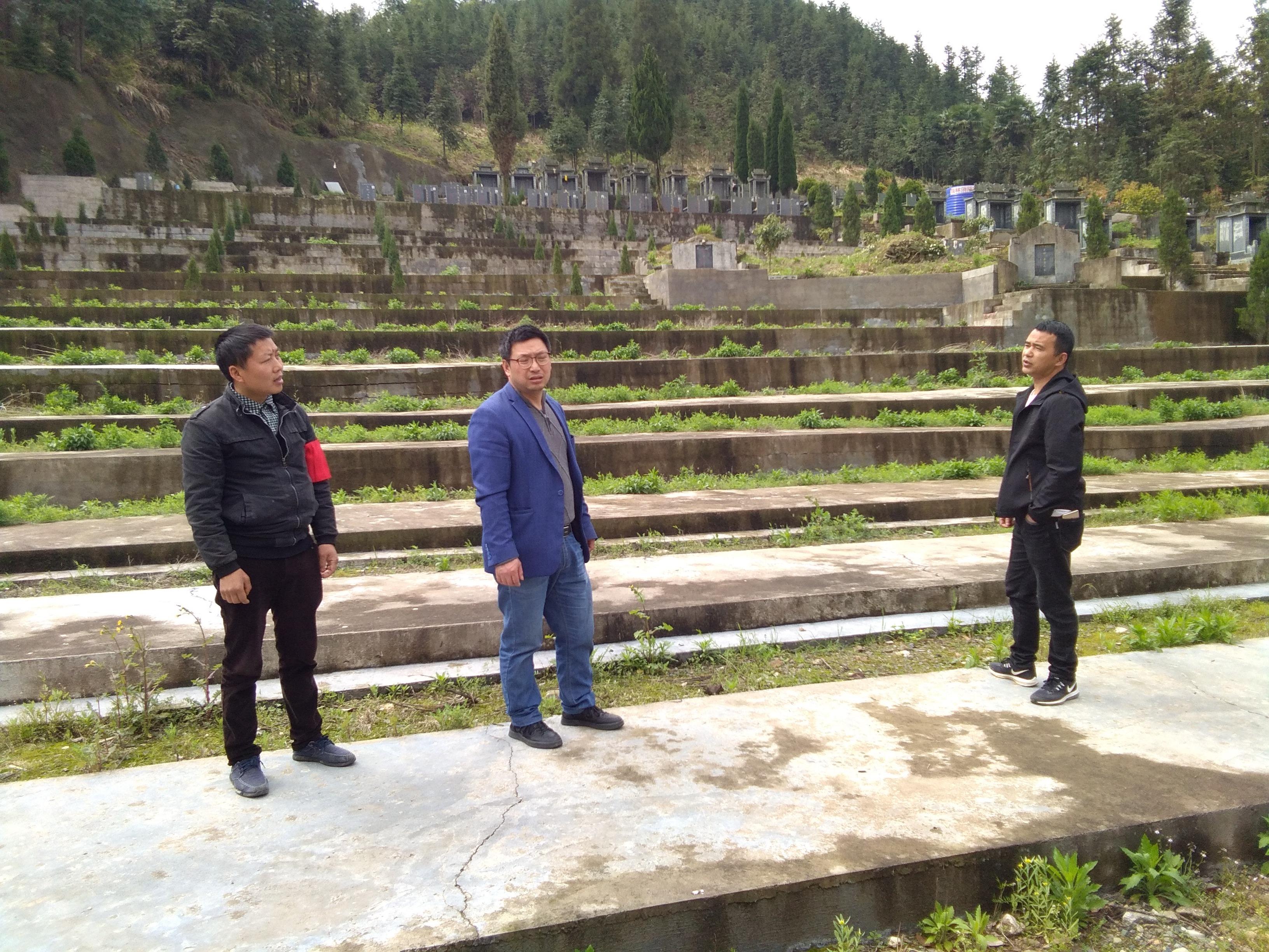 张村村公墓园区图片