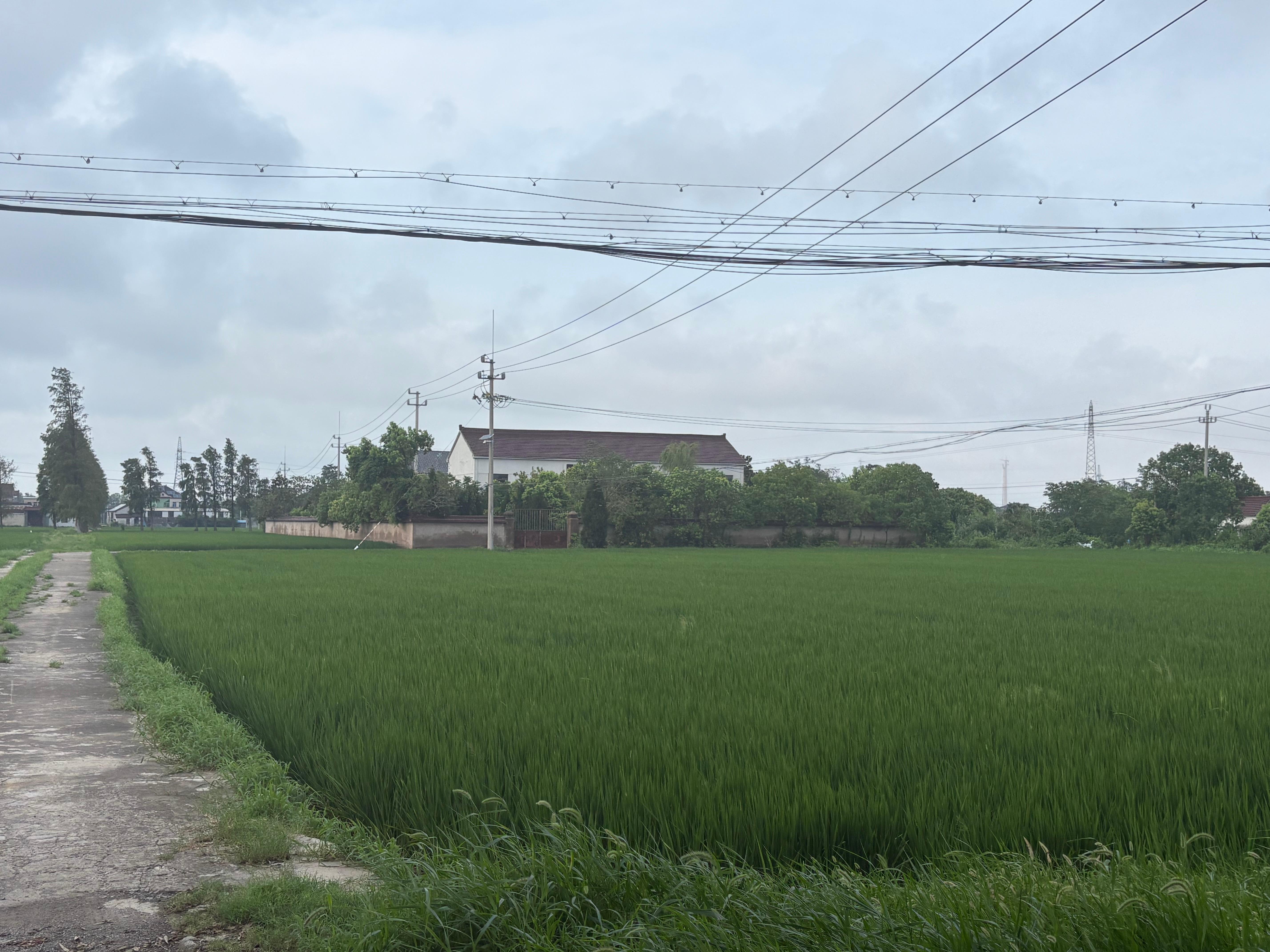 秦山街道秦兴社区安息堂园区图片